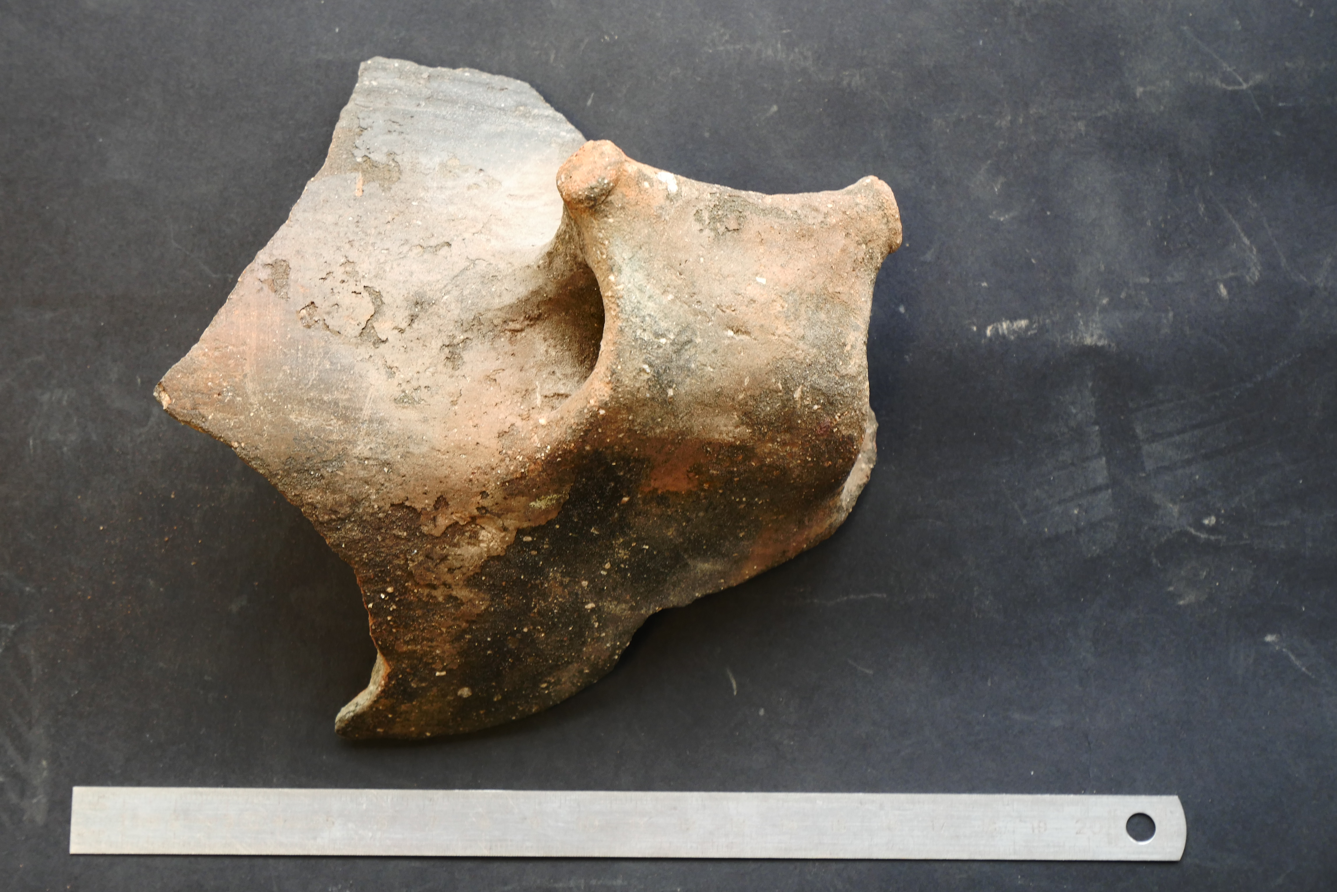 SINGOLO OGGETTO/ tazza, PERIODIZZAZIONI/ Protostoria/ Eta' del Bronzo/ Eta' del Bronzo medio