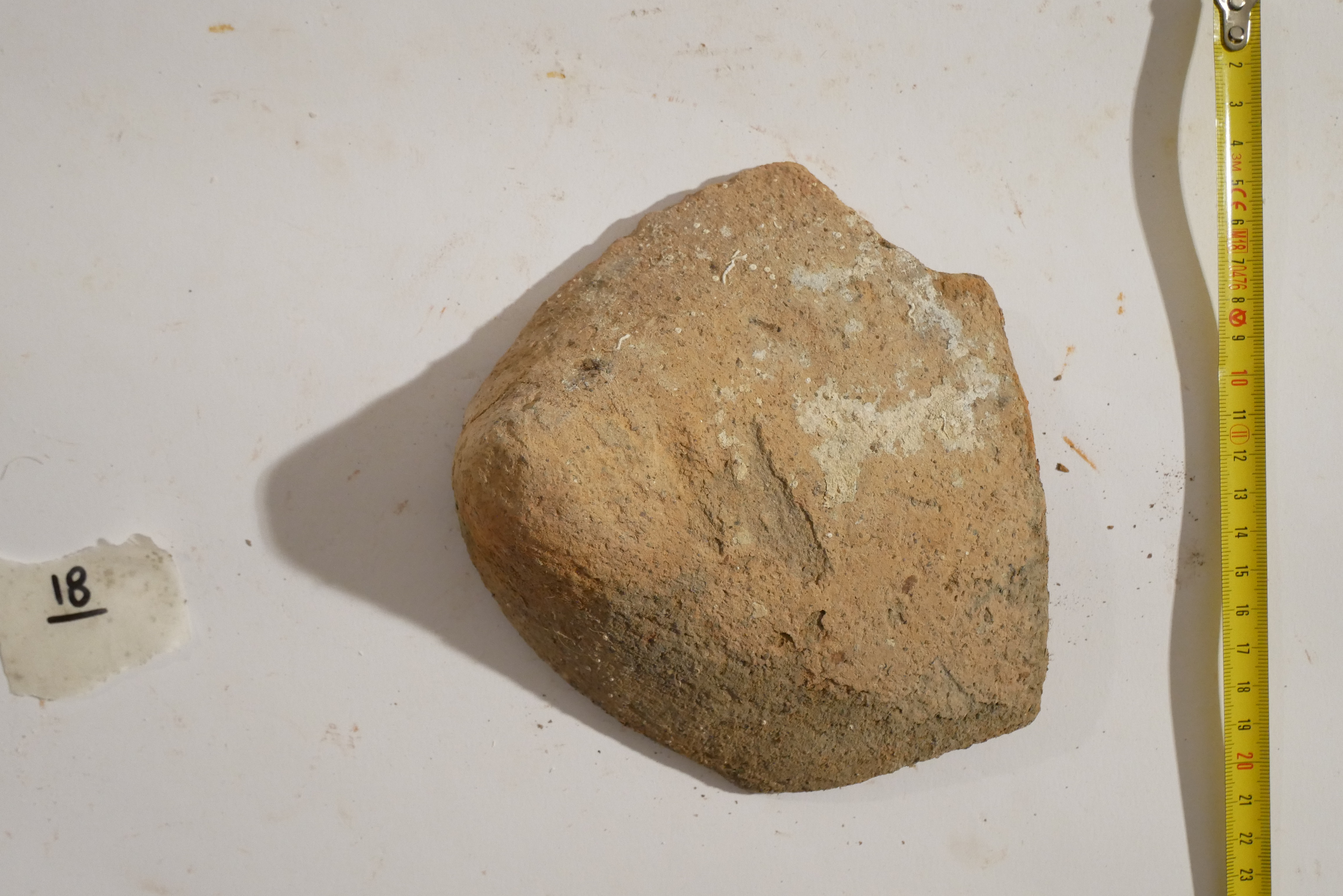 SINGOLO OGGETTO/ anfora, SECOLI/ VI a.C