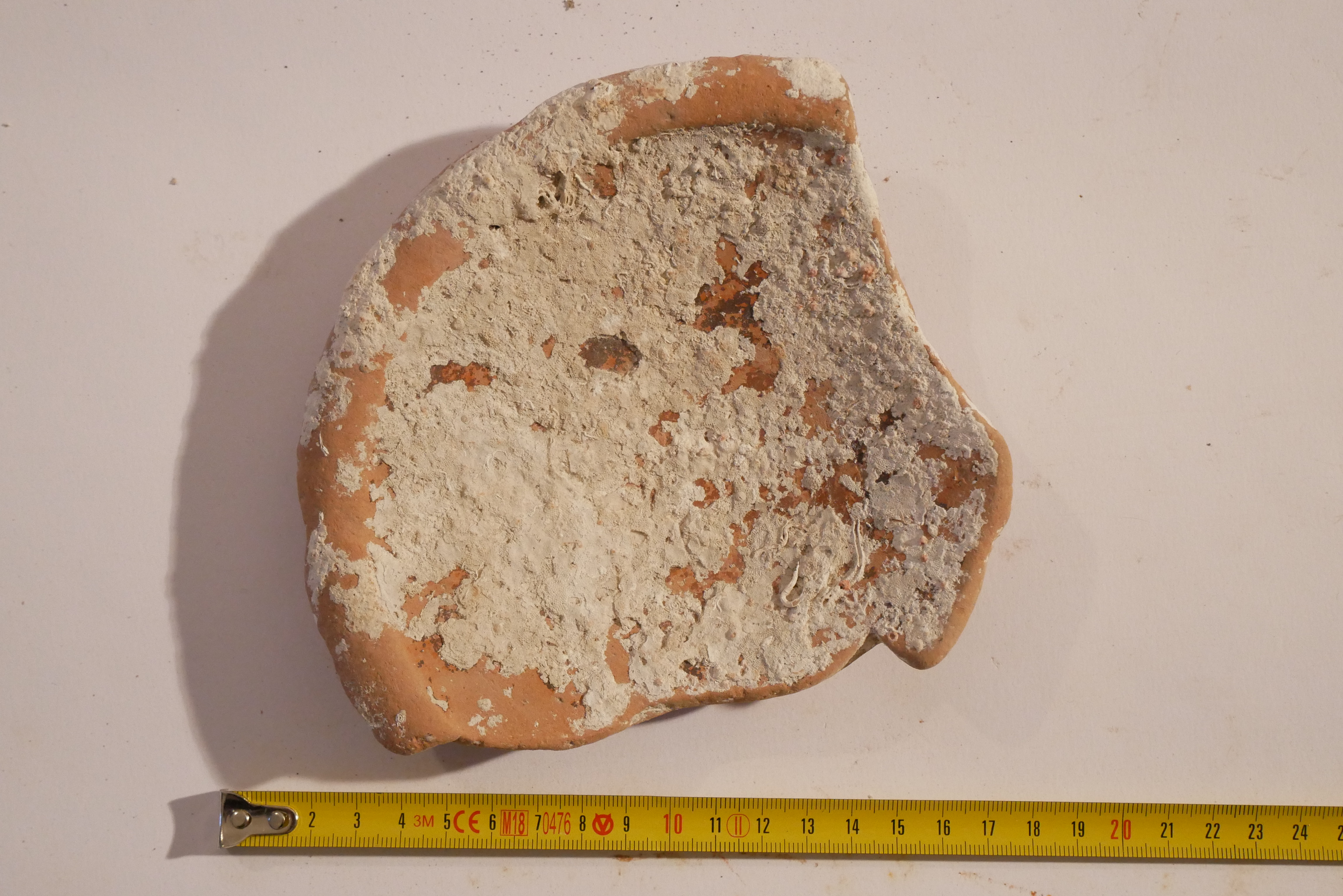 SINGOLO OGGETTO/ piatto, SECOLI/ II a.C