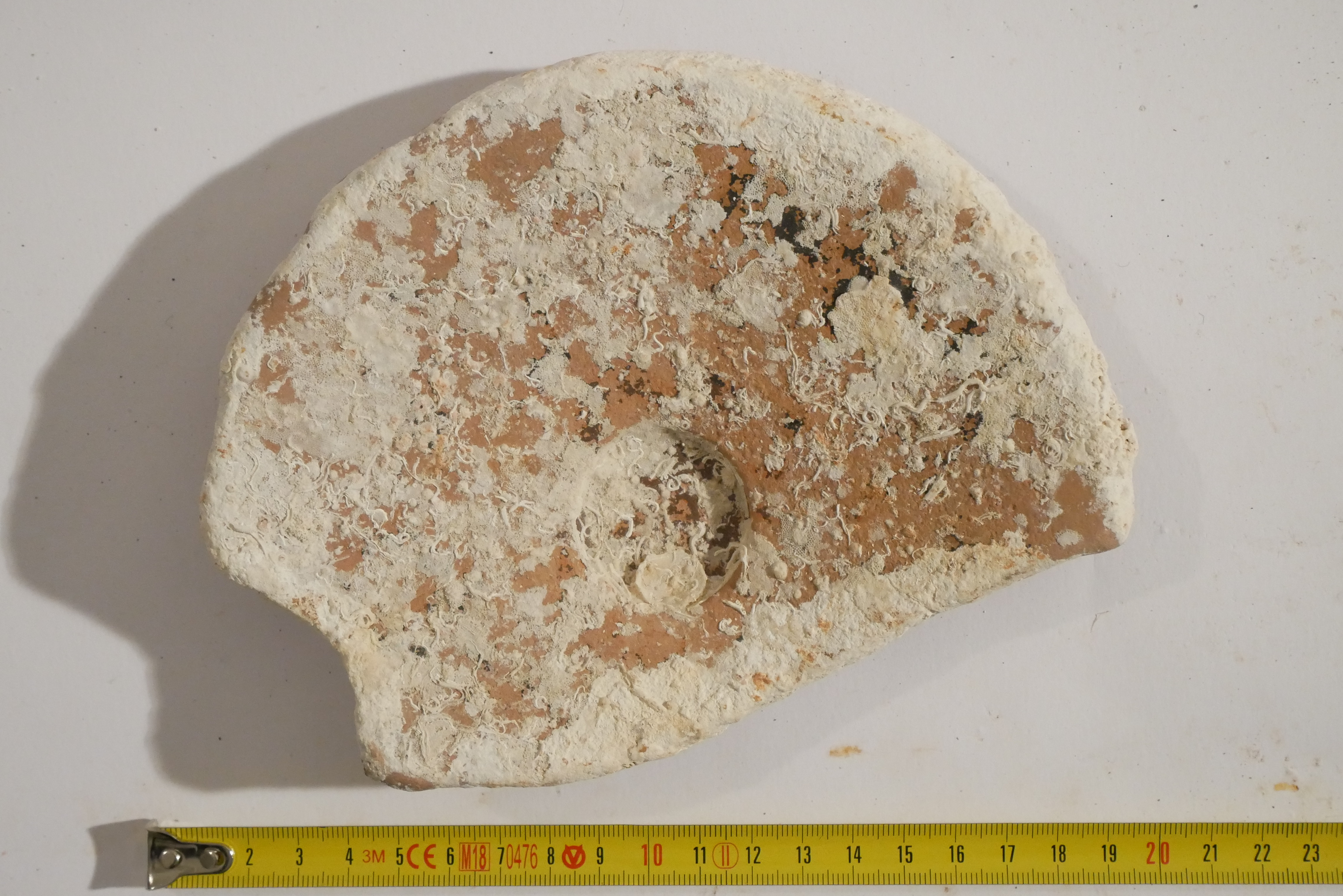 SINGOLO OGGETTO/ piatto, SECOLI/ II a.C