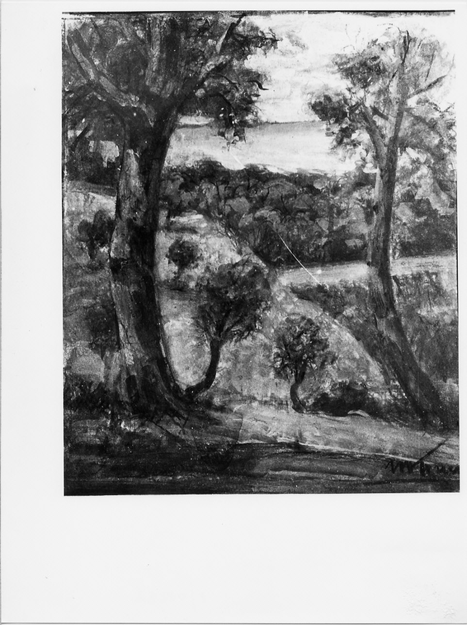 paesaggio rurale (dipinto, opera isolata) di Trucco Manlio (sec. XX)