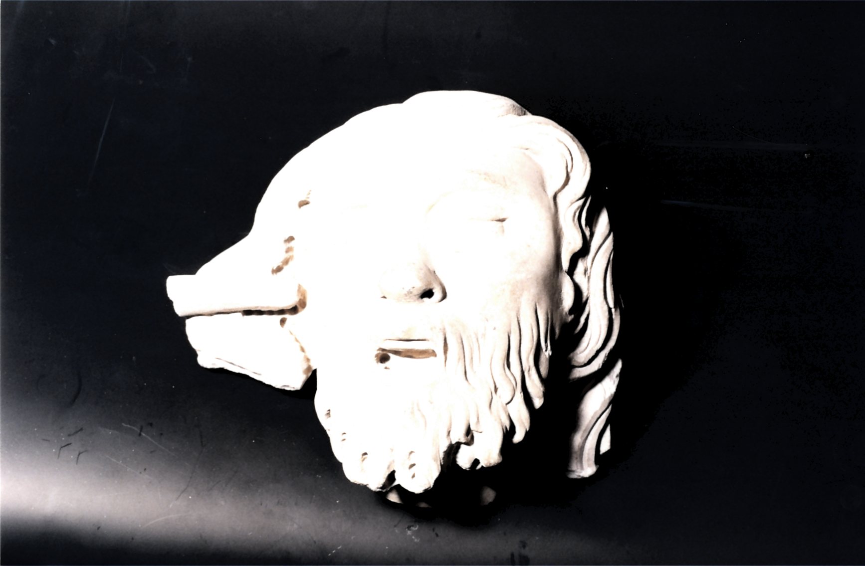 un volto (scultura, frammento) di Gagini Antonello (attribuito) (prima metà XVI)