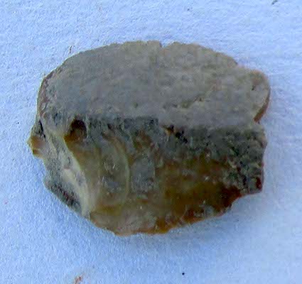 SINGOLO OGGETTO/ strumento, PERIODIZZAZIONI/ Storia/ Eta' antica/ Eta' romana/ Eta' romana imperiale