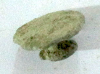 SINGOLO OGGETTO/ borchia, PERIODIZZAZIONI/ Storia/ Eta' antica/ Eta' romana/ Eta' romana imperiale