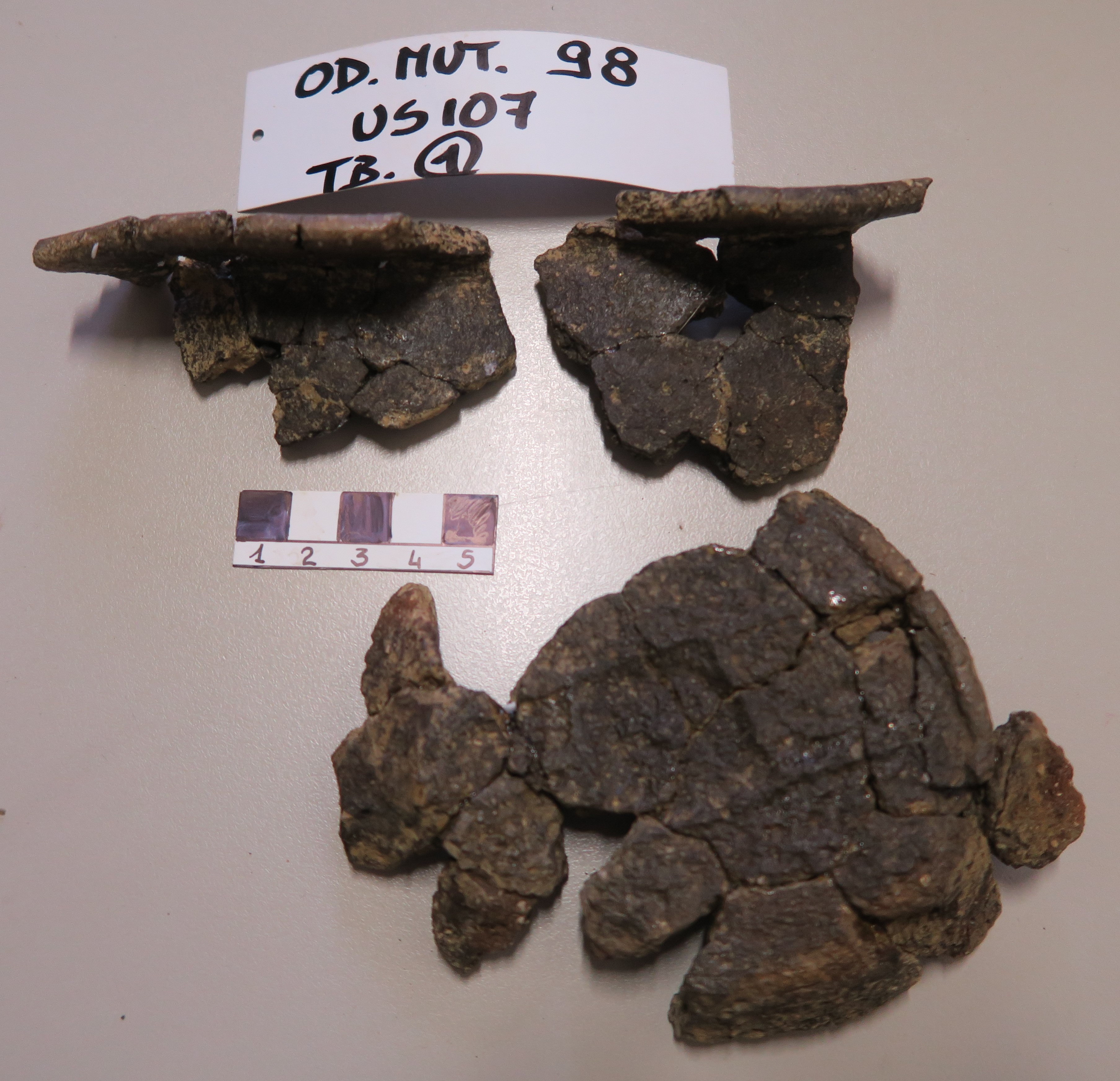 SINGOLO OGGETTO/ olla, SECOLI/ II a.C