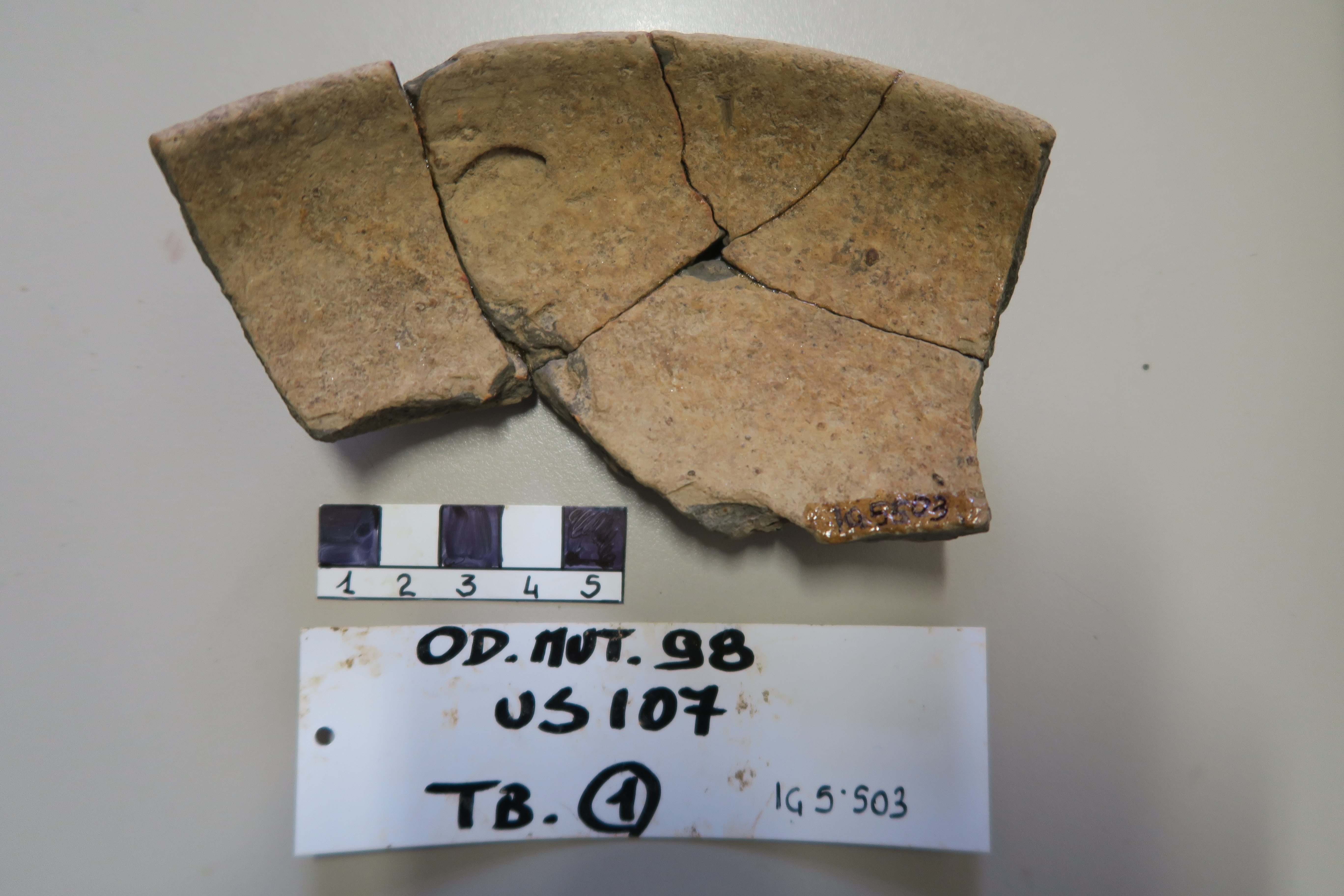 SINGOLO OGGETTO/ coppa, PERIODIZZAZIONI/ Protostoria/ Eta' del Ferro/ Seconda eta' del Ferro