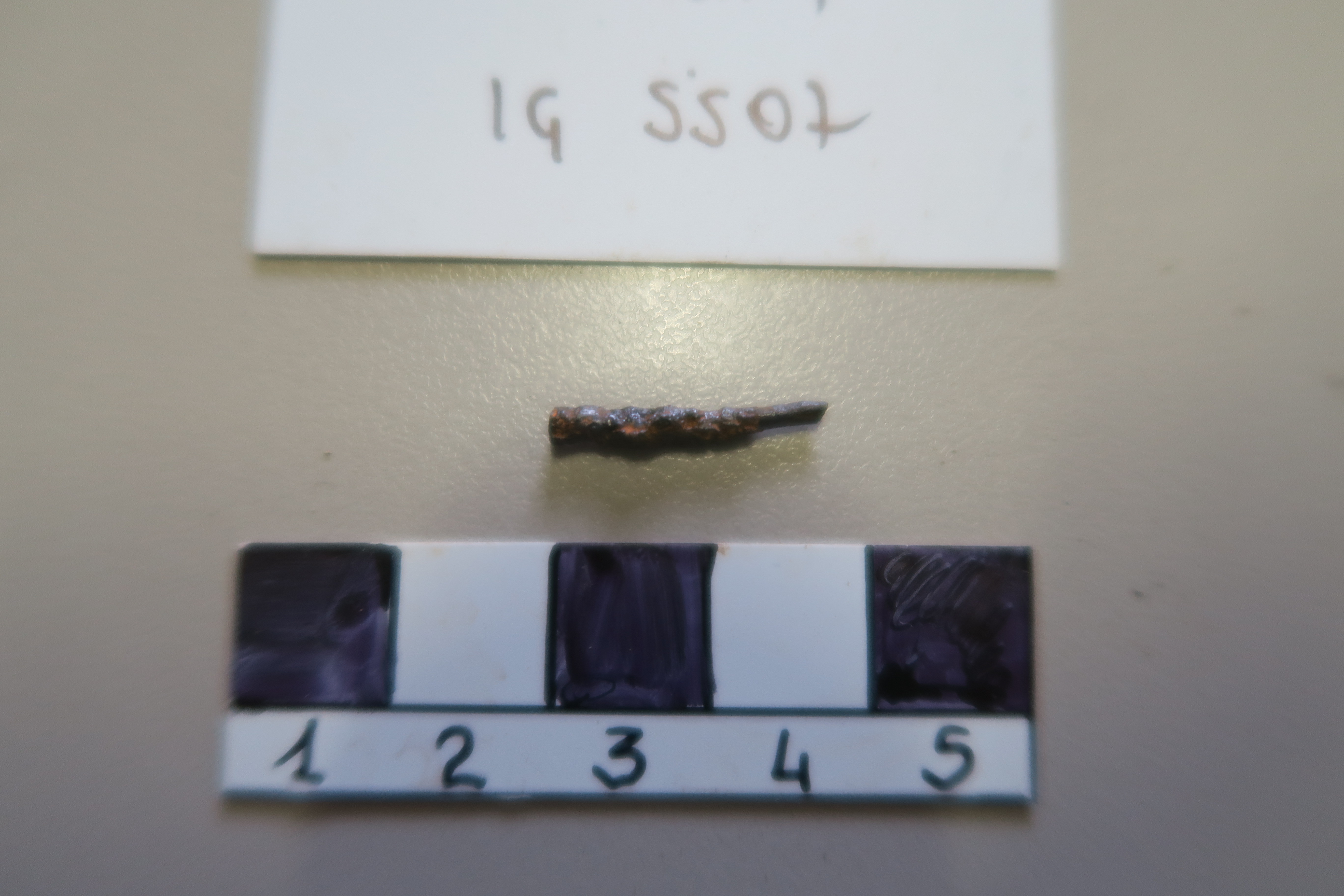 SINGOLO OGGETTO/ fibula, PERIODIZZAZIONI/ Protostoria/ Eta' del Ferro/ Seconda eta' del Ferro