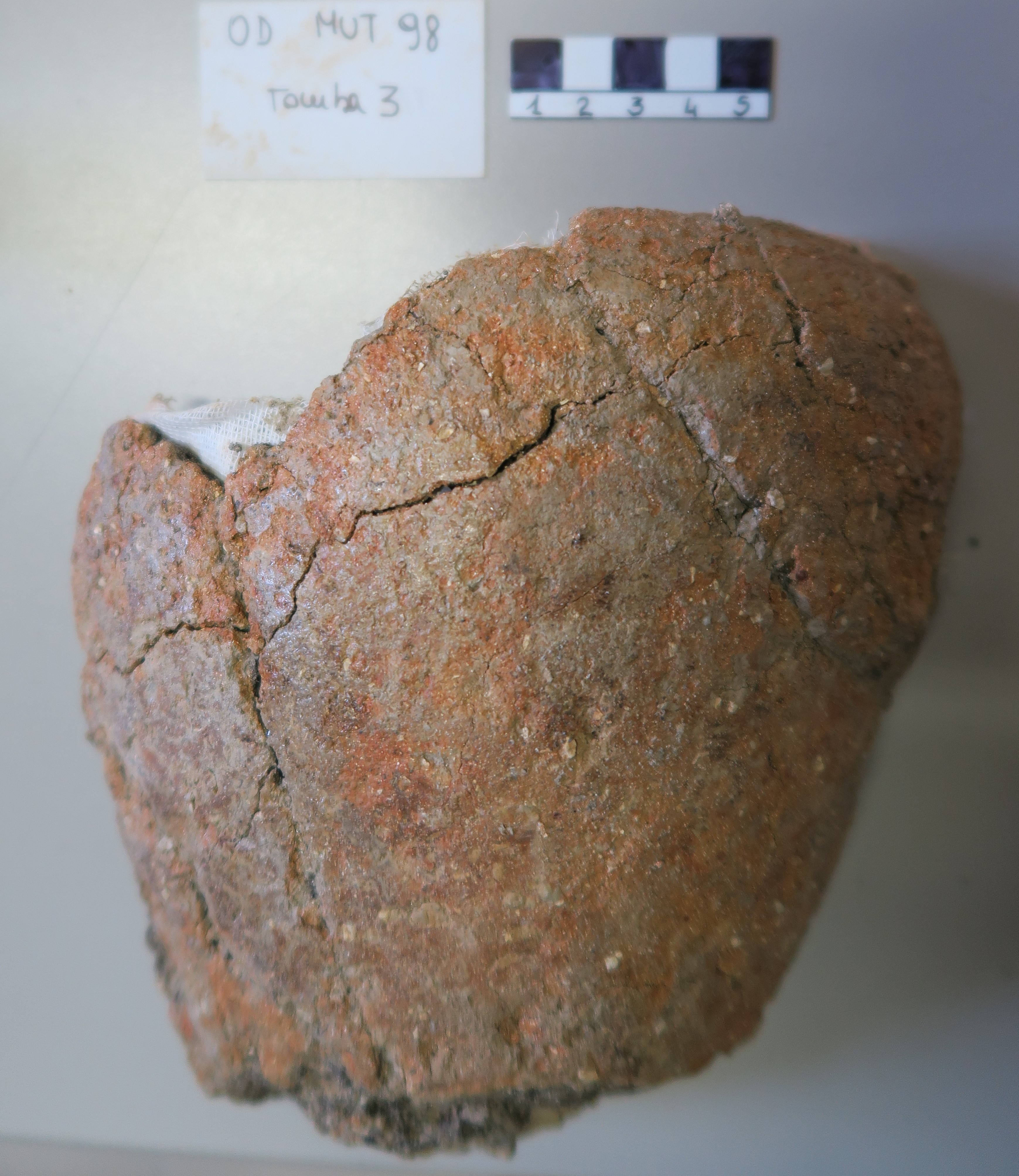 SINGOLO OGGETTO/ olla, PERIODIZZAZIONI/ Protostoria/ Eta' del Ferro/ Seconda eta' del Ferro