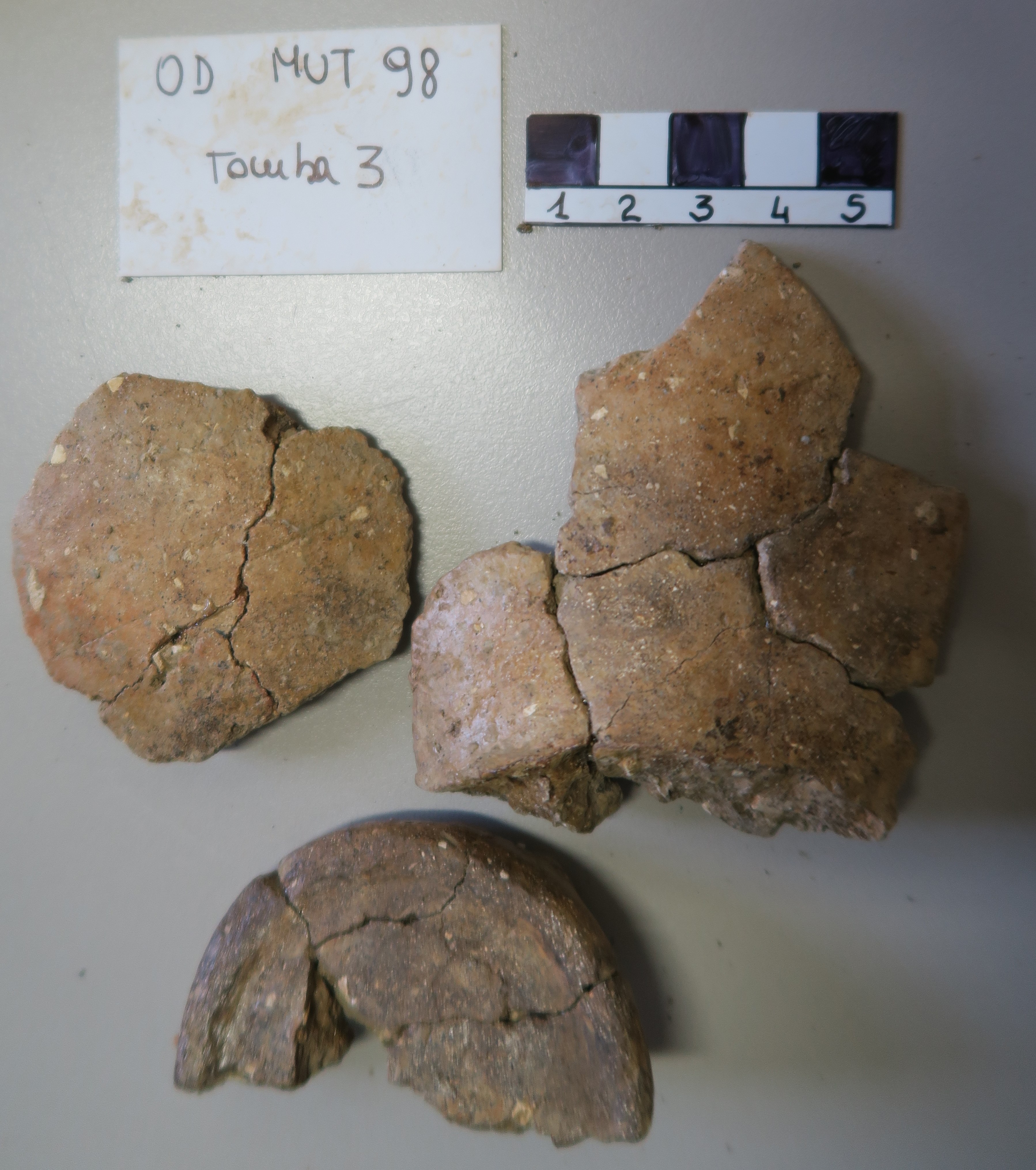 SINGOLO OGGETTO/ olla, PERIODIZZAZIONI/ Protostoria/ Eta' del Ferro/ Seconda eta' del Ferro