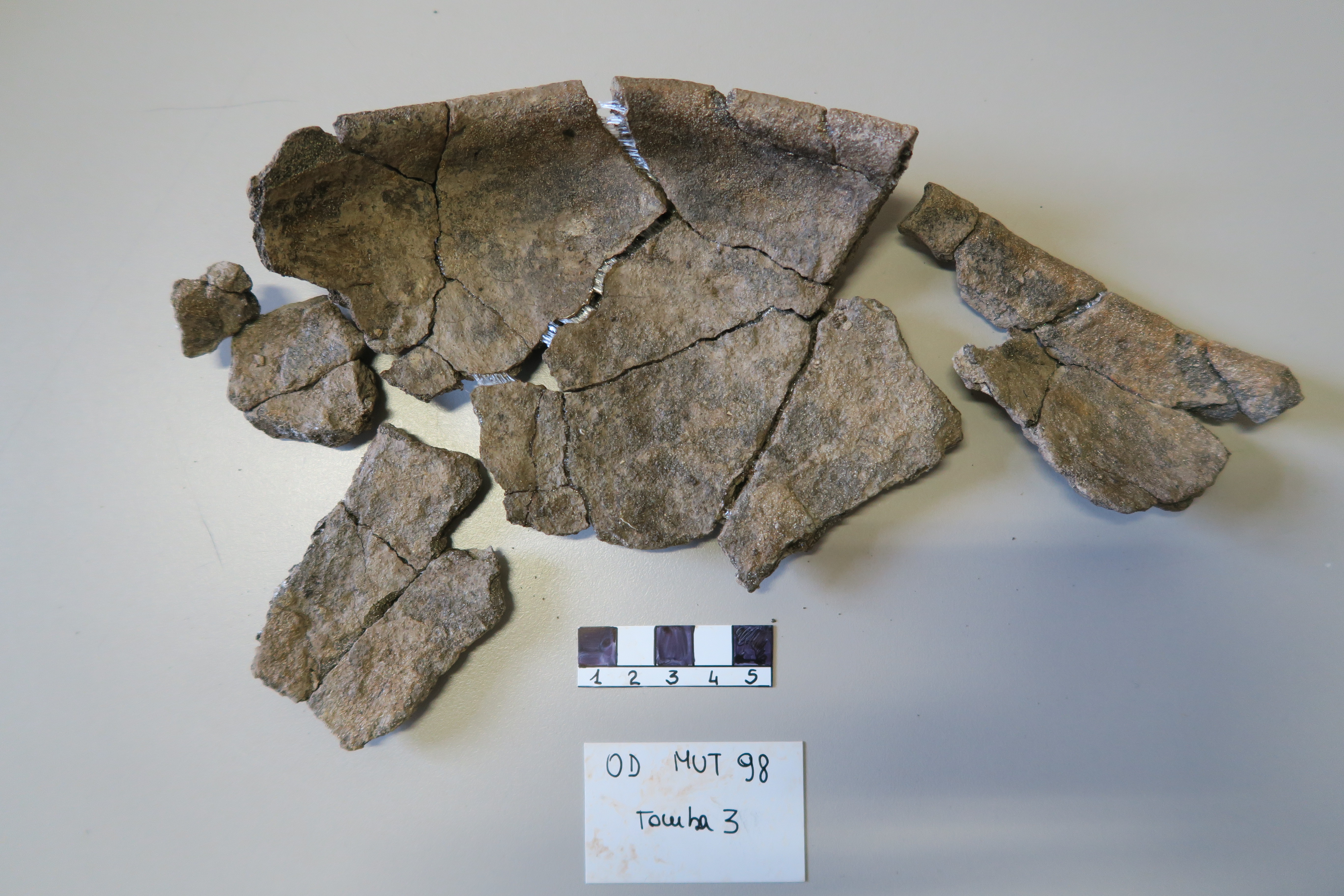 SINGOLO OGGETTO/ coppa, PERIODIZZAZIONI/ Protostoria/ Eta' del Ferro/ Seconda eta' del Ferro