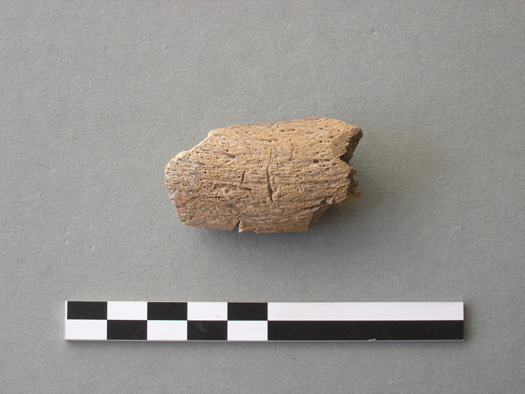 corno lavorato - ambito etrusco-padano (IV a.C)