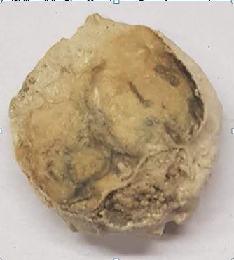 SINGOLO OGGETTO/ moneta, Età tardoantica
