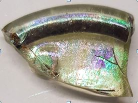 SINGOLO OGGETTO/ bottiglia, Età tardoantica