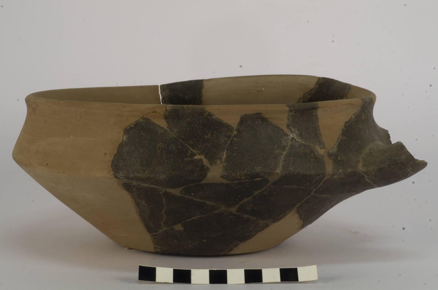 SINGOLO OGGETTO/ scodella, Età del Bronzo recente