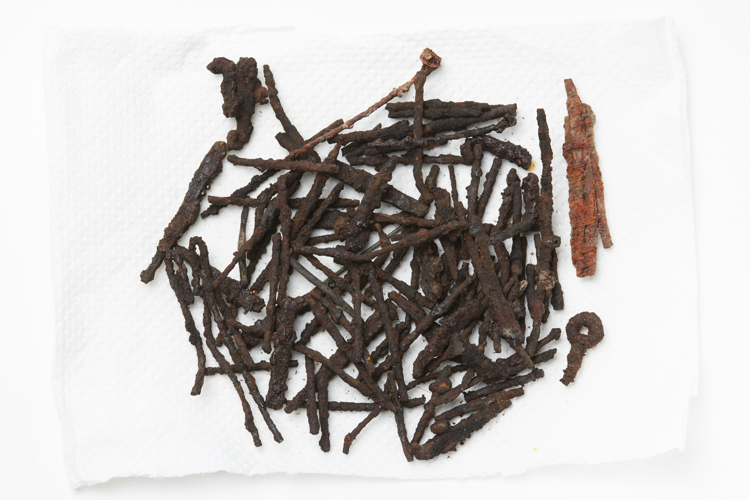 SINGOLO OGGETTO/ filo, XVI-XVII