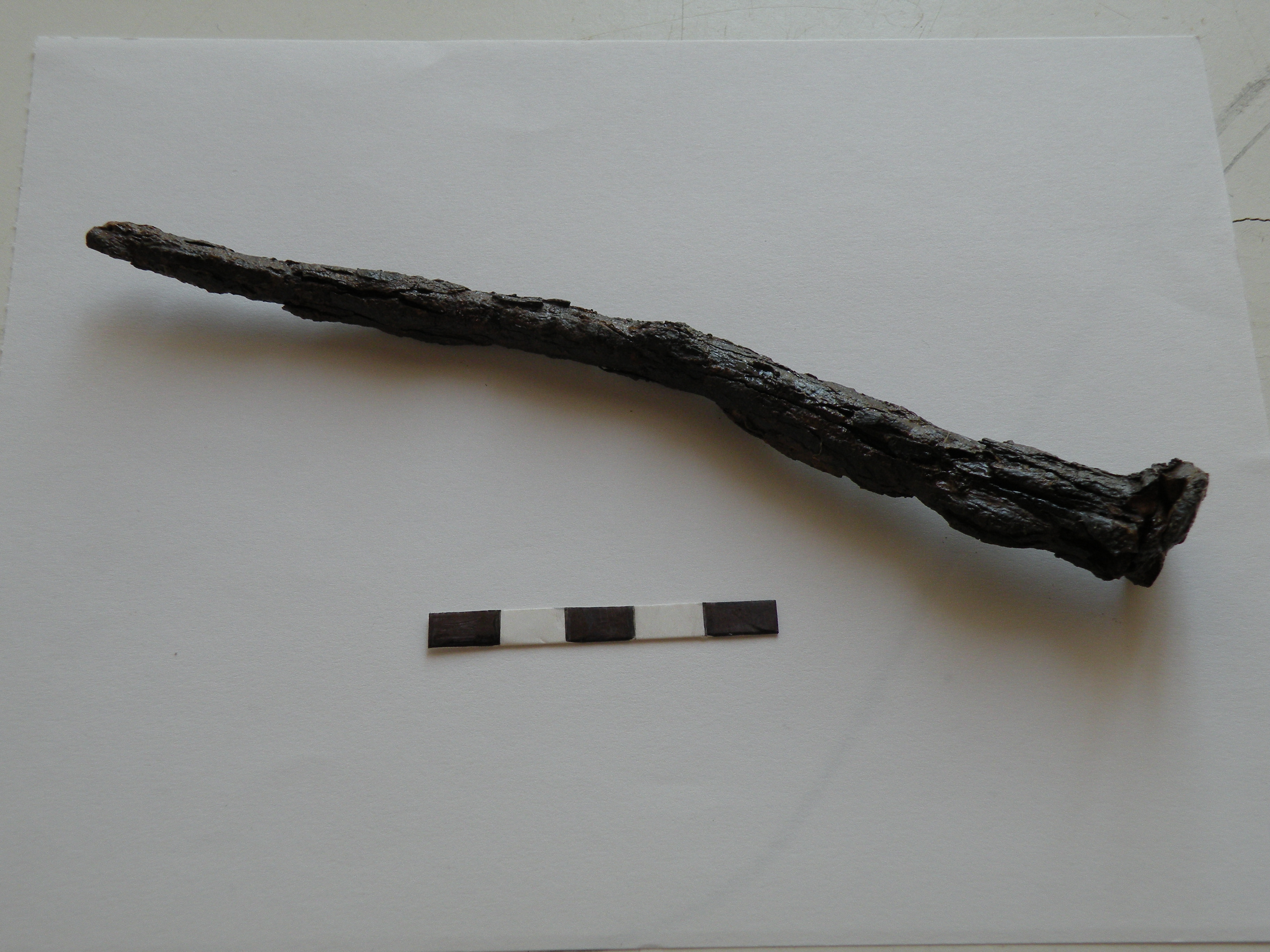 SINGOLO OGGETTO/ Chiodo, sec. V a.C