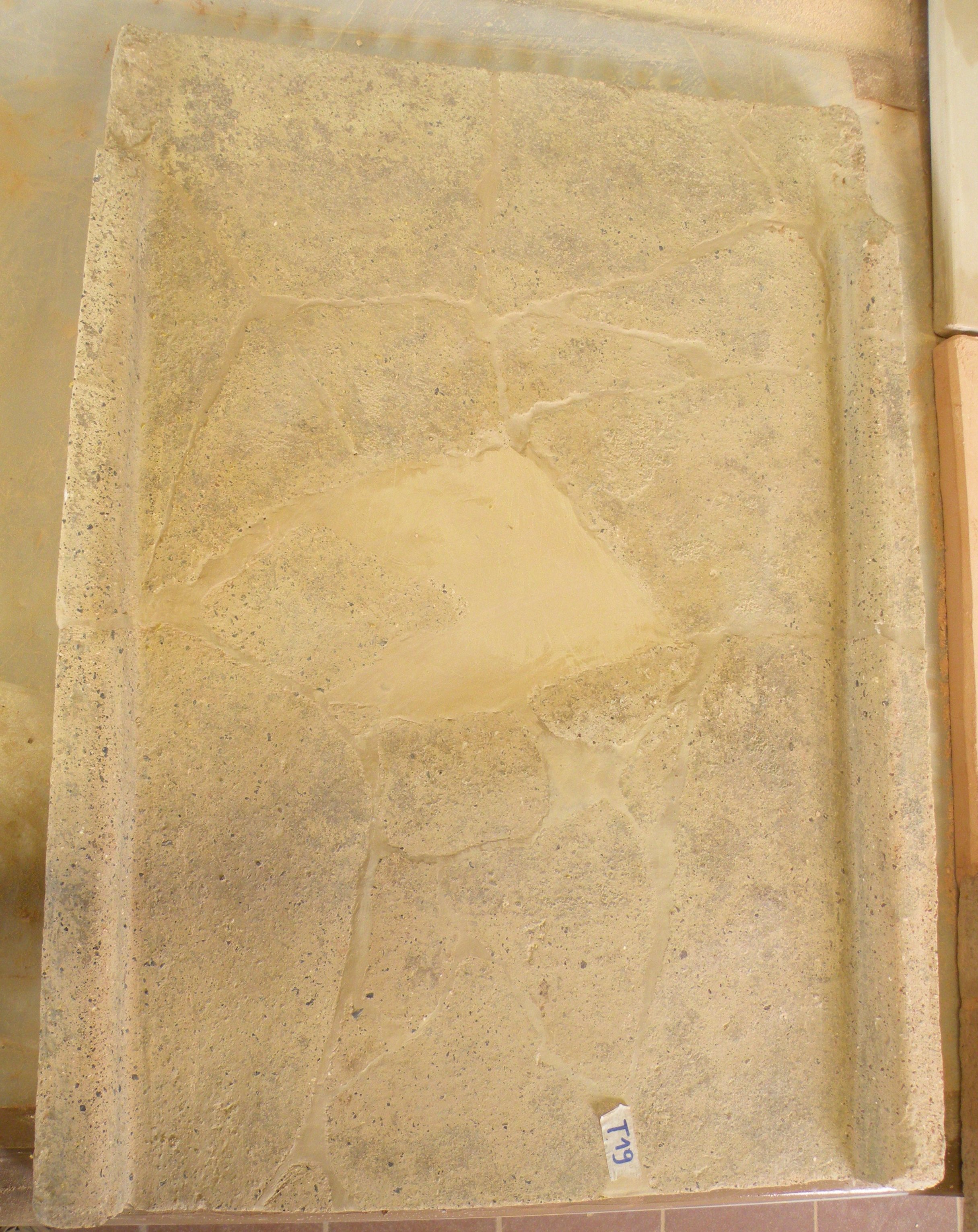 SINGOLO OGGETTO/ tegola, V sec. a. C