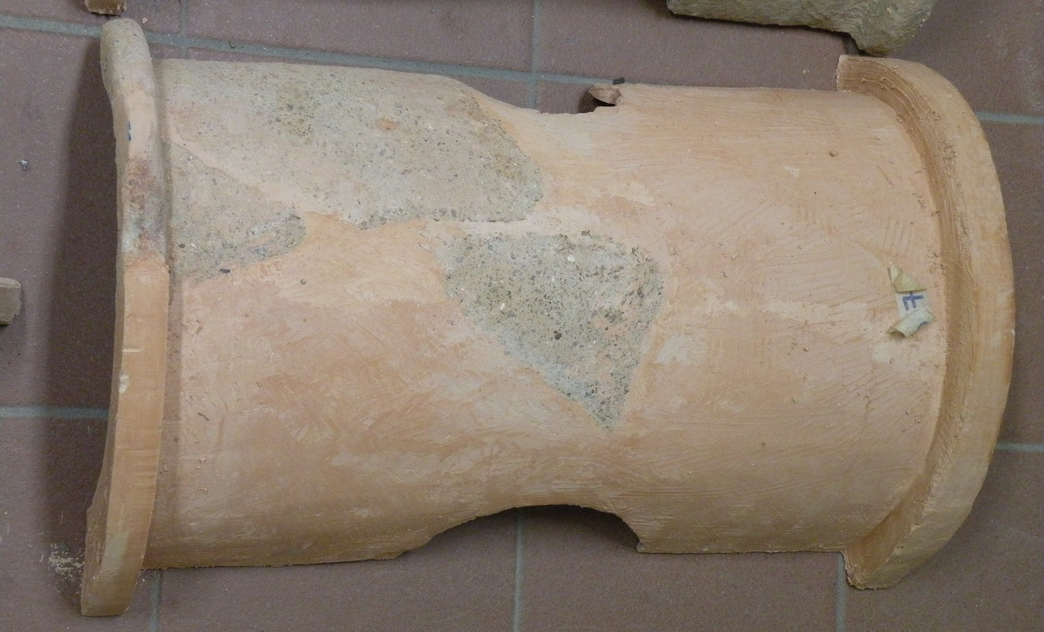 SINGOLO OGGETTO/ coppo, V sec. a. C