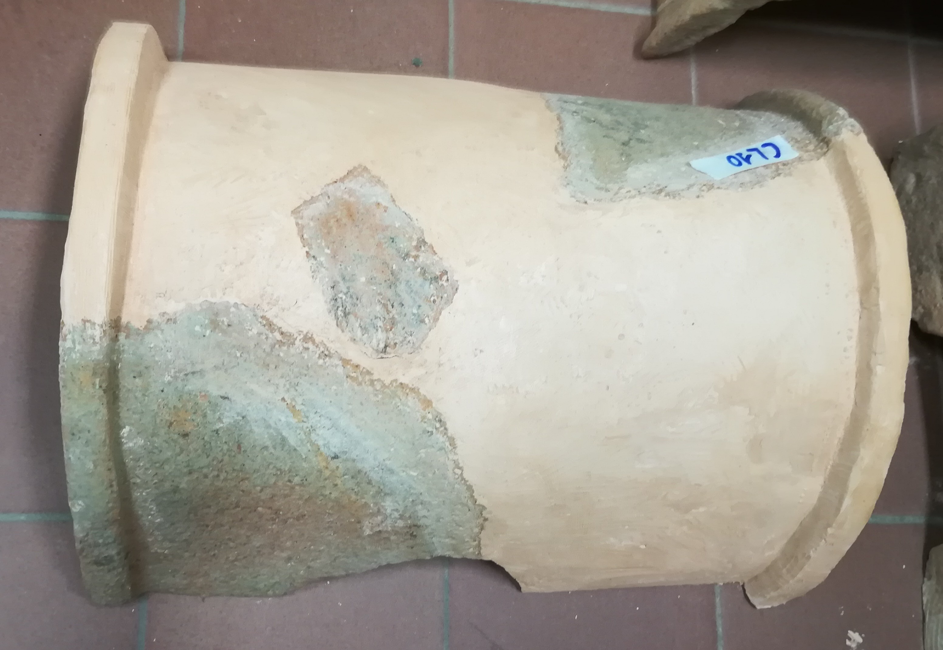 SINGOLO OGGETTO/ coppo, V sec. a. C