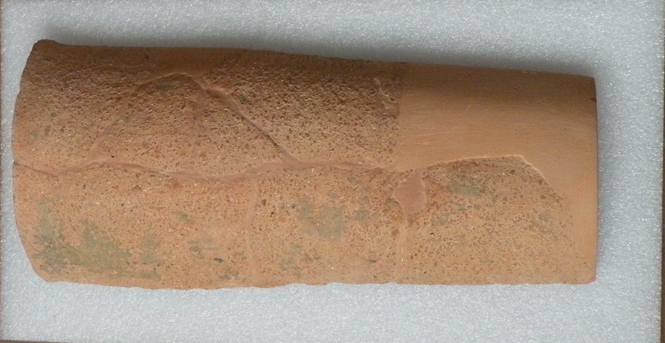 SINGOLO OGGETTO/ coppo, V sec. a. C