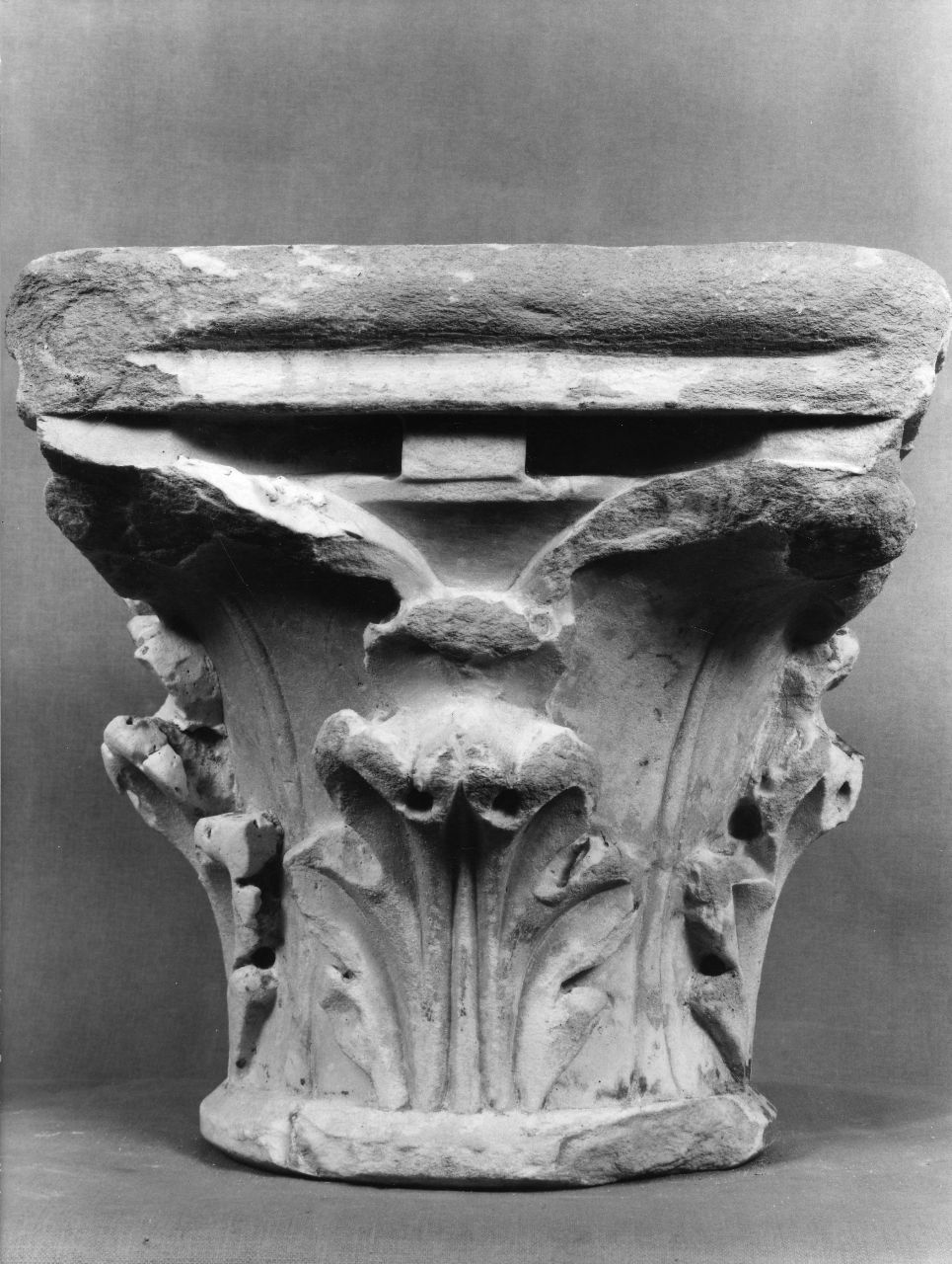 motivi decorativi a foglie d'acanto (capitello) - manifattura toscana (seconda metà sec. XIV)