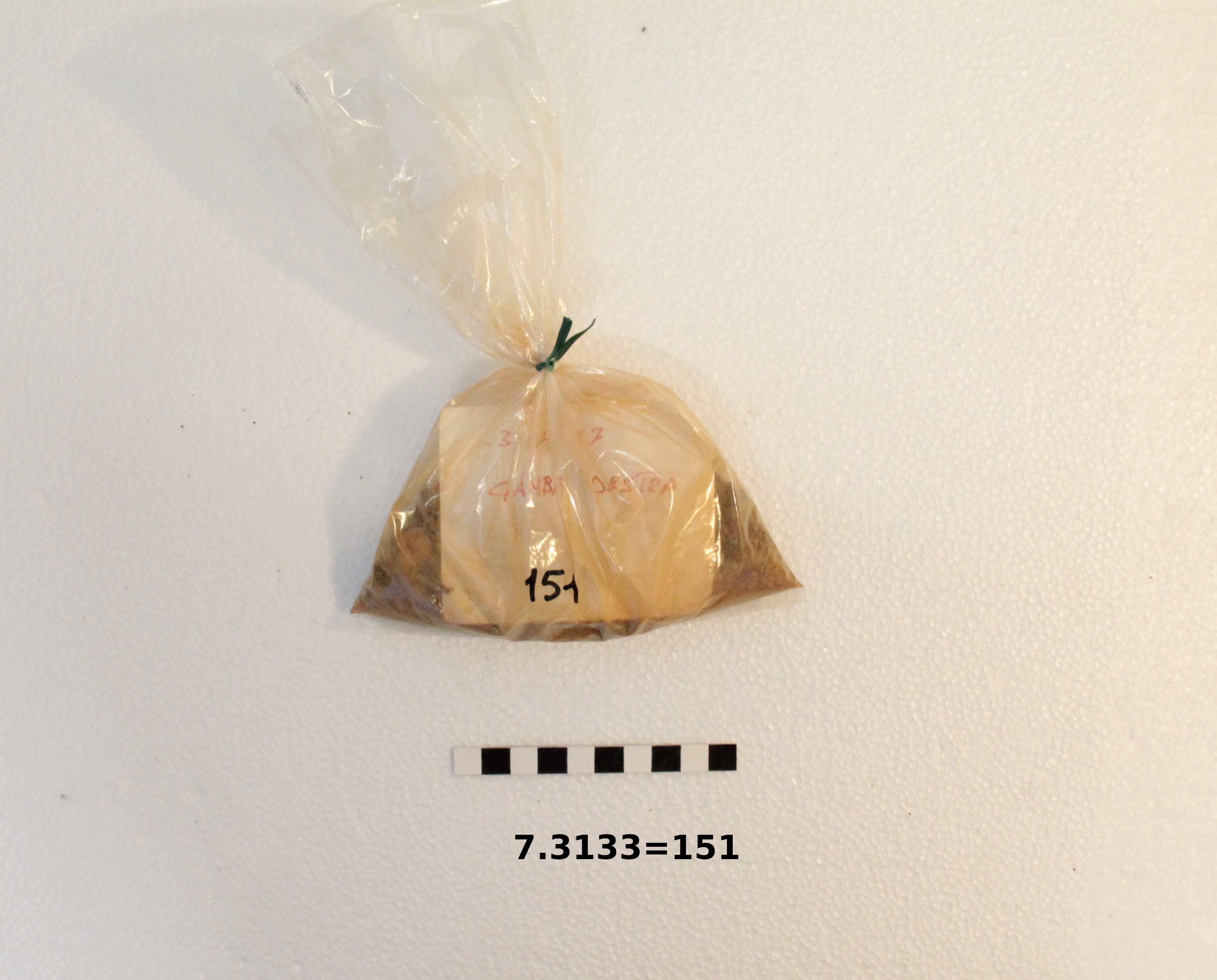 SINGOLO OGGETTO/ statua, PERIODIZZAZIONI/ Storia/ Eta' antica/ Eta' romana/ Eta' romana imperiale/ Eta' altoimperiale/ Eta' Giulio-Claudia