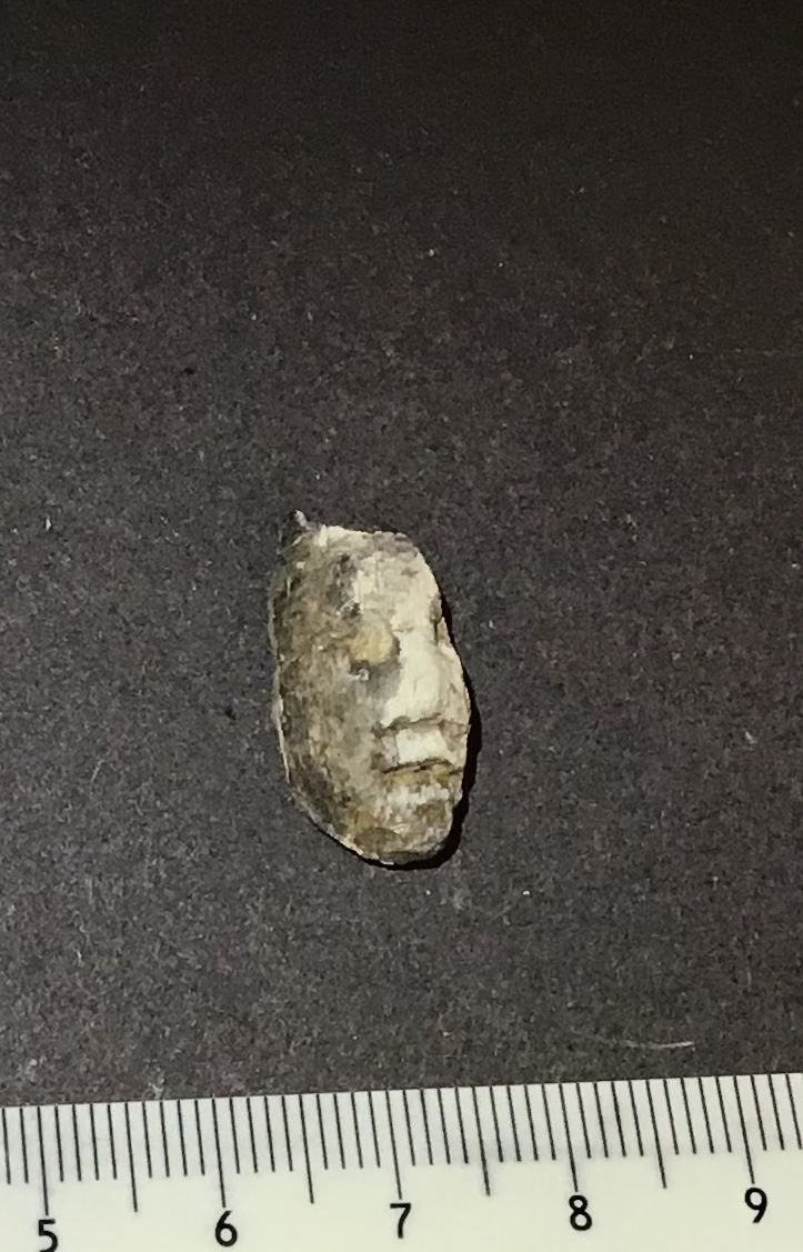 SINGOLO OGGETTO/ letto, PERIODIZZAZIONI/ Storia/ Eta' antica/ Eta' romana/ Eta' romana imperiale/ Eta' altoimperiale/ Eta' di Augusto