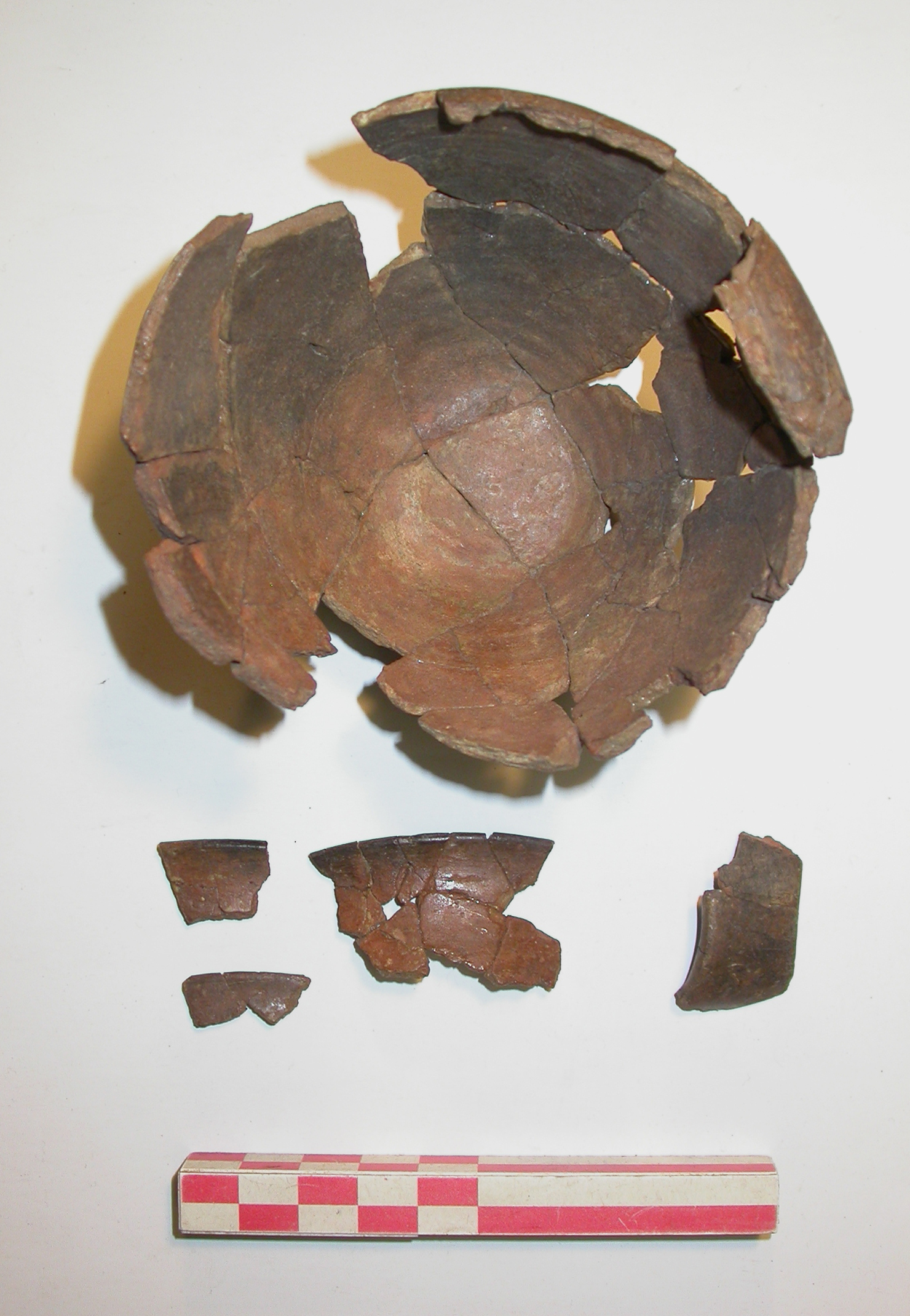 SINGOLO OGGETTO/ boccale, PERIODIZZAZIONI/ Protostoria/ Eta' del Ferro/ Prima eta' del Ferro