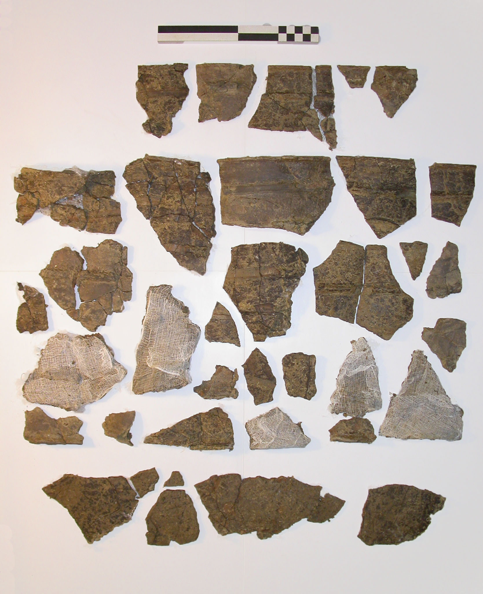 SINGOLO OGGETTO/ cista, PERIODIZZAZIONI/ Protostoria/ Eta' del Ferro/ Prima eta' del Ferro