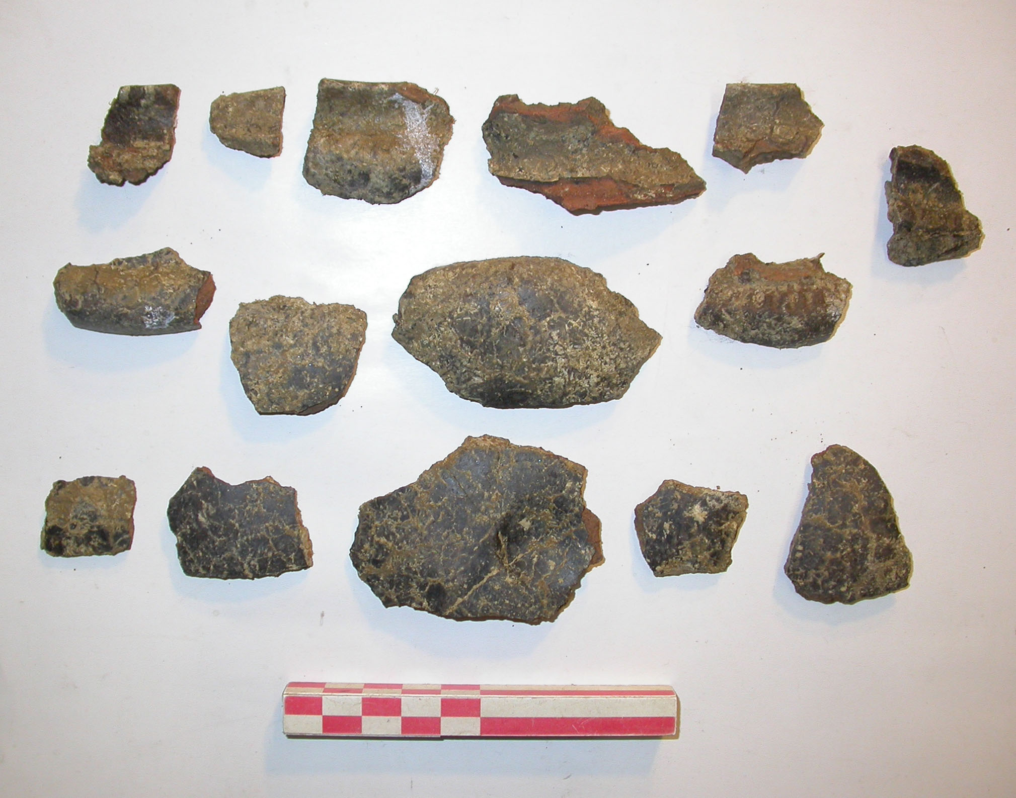 SINGOLO OGGETTO/ tazza, PERIODIZZAZIONI/ Protostoria/ Eta' del Ferro/ Prima eta' del Ferro