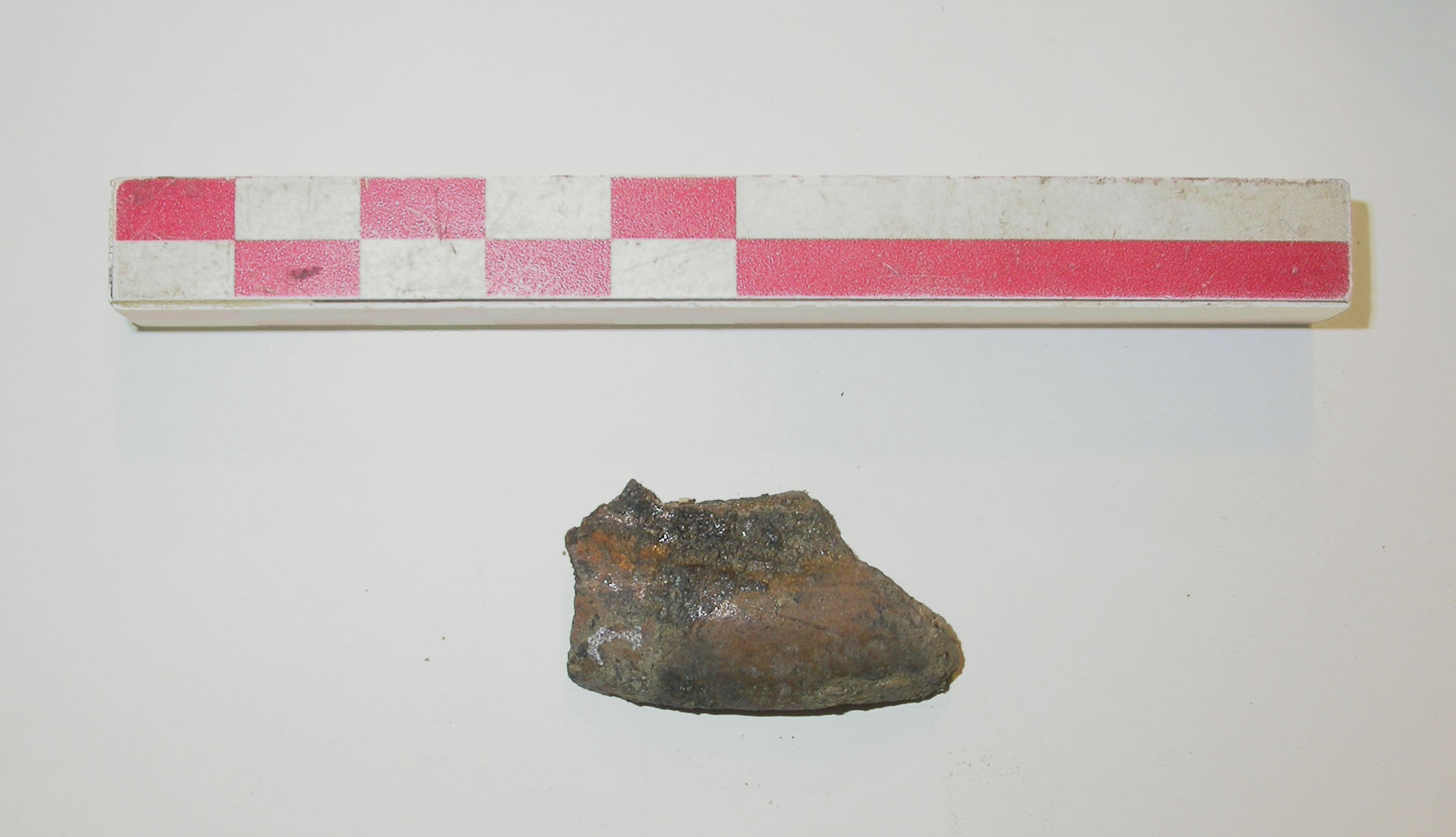 SINGOLO OGGETTO/ vaso, PERIODIZZAZIONI/ Protostoria/ Eta' del Ferro/ Prima eta' del Ferro