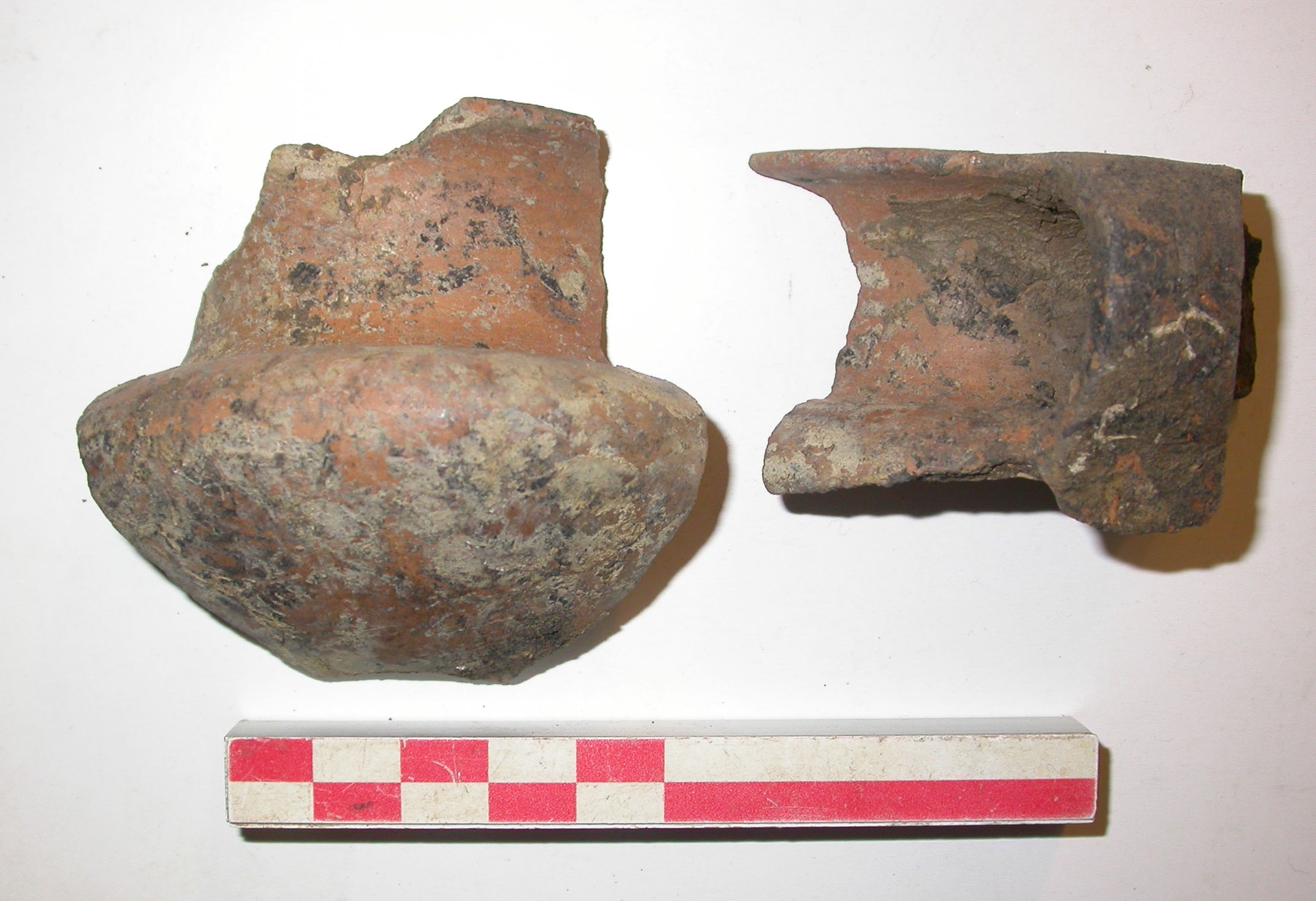 SINGOLO OGGETTO/ tazza, PERIODIZZAZIONI/ Protostoria/ Eta' del Ferro/ Prima eta' del Ferro