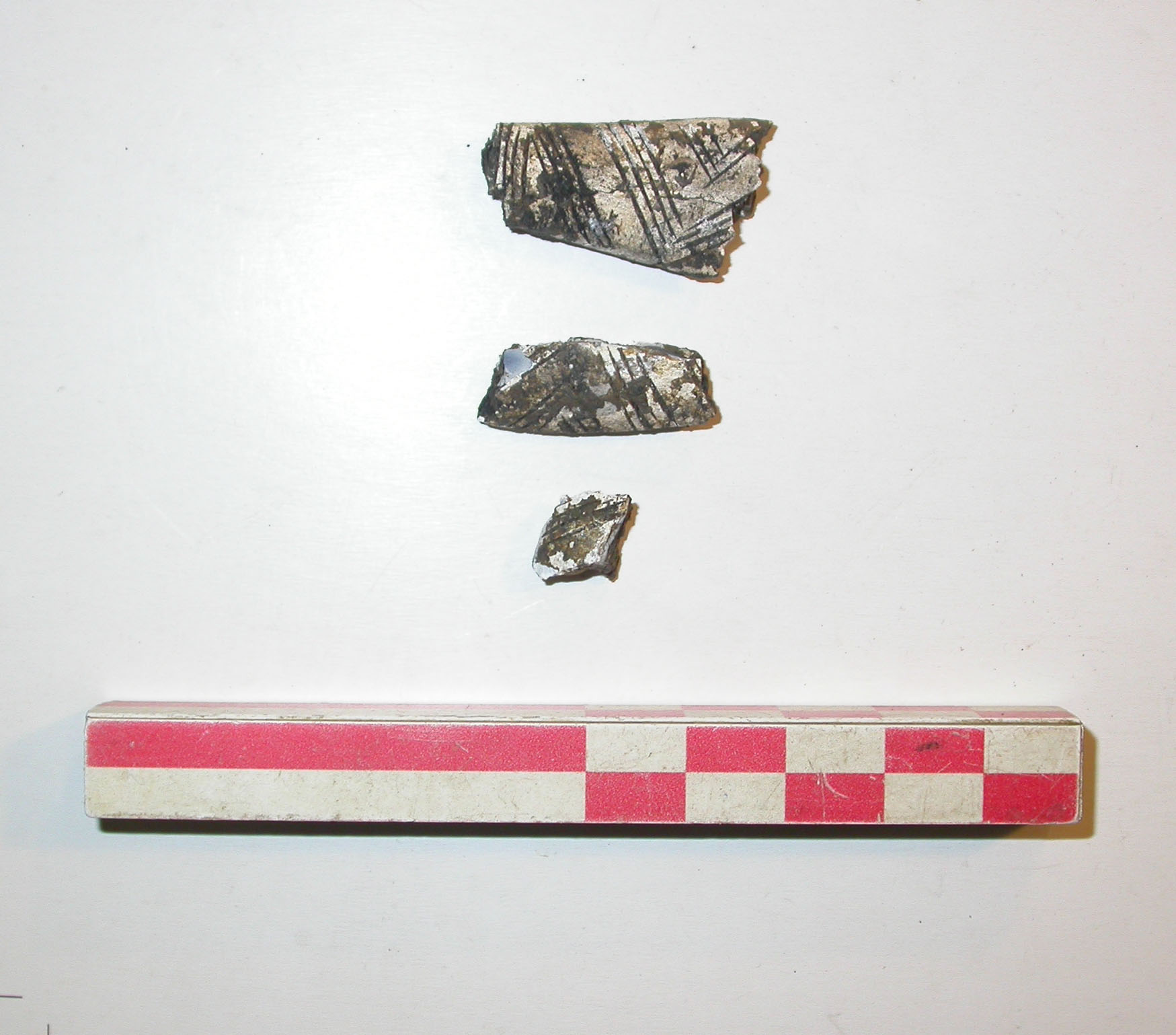 SINGOLO OGGETTO/ applique, PERIODIZZAZIONI/ Protostoria/ Eta' del Ferro/ Prima eta' del Ferro