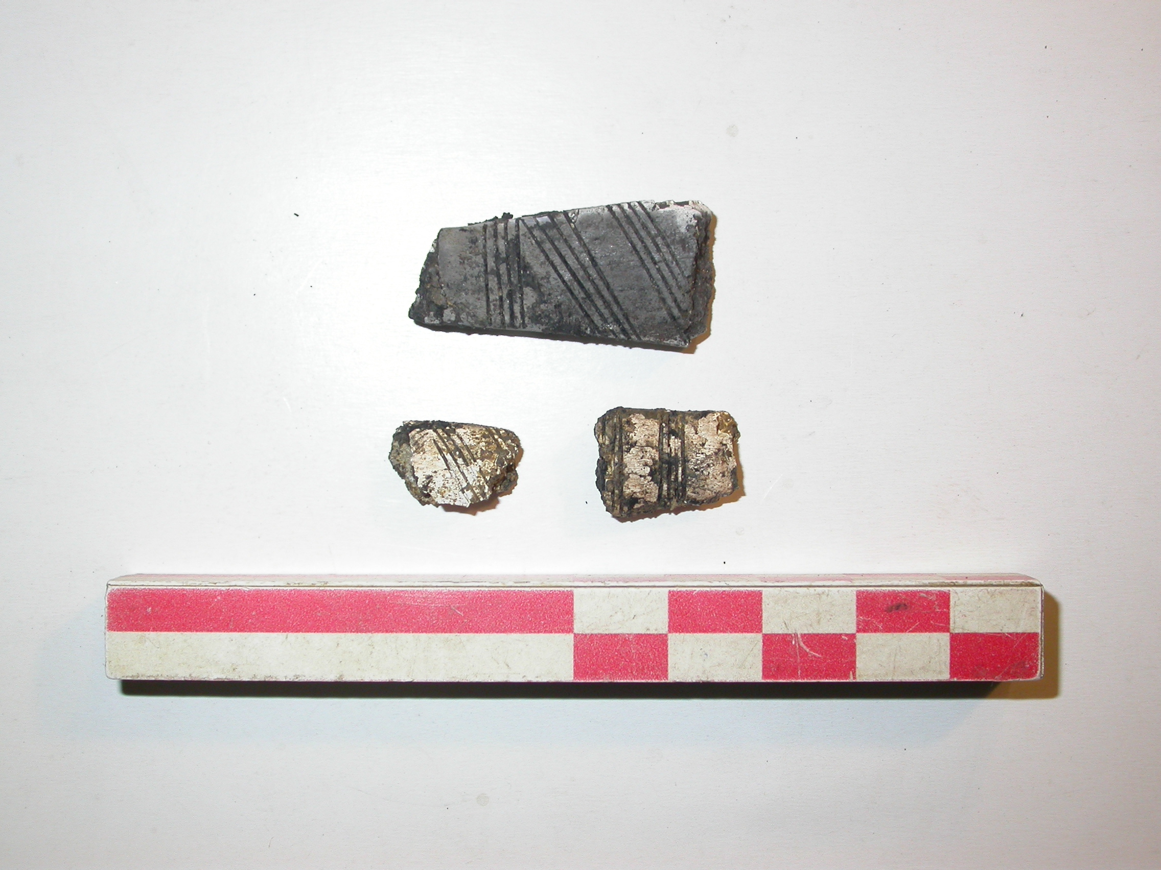 SINGOLO OGGETTO/ applique, PERIODIZZAZIONI/ Protostoria/ Eta' del Ferro/ Prima eta' del Ferro