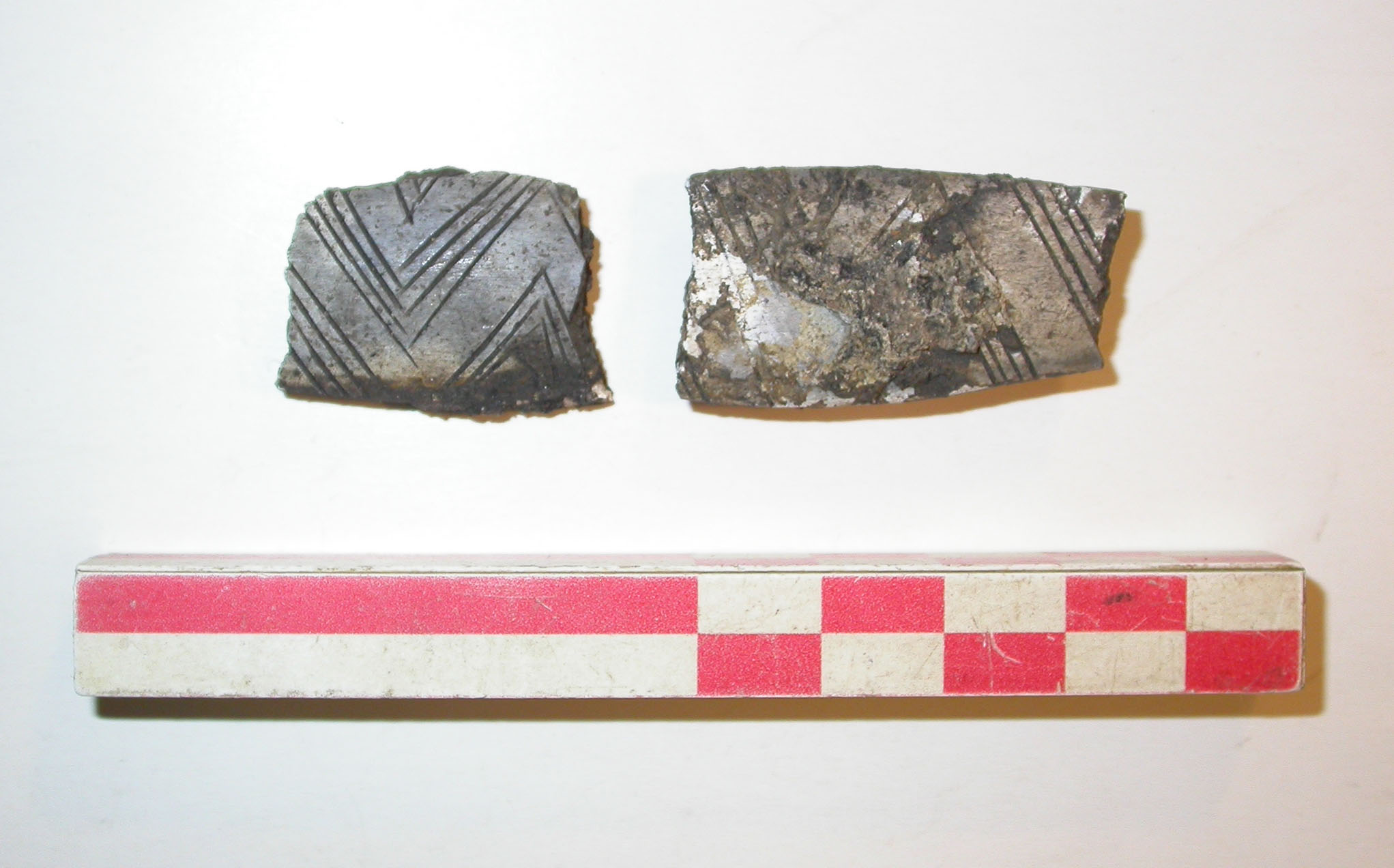 SINGOLO OGGETTO/ applique, PERIODIZZAZIONI/ Protostoria/ Eta' del Ferro/ Prima eta' del Ferro