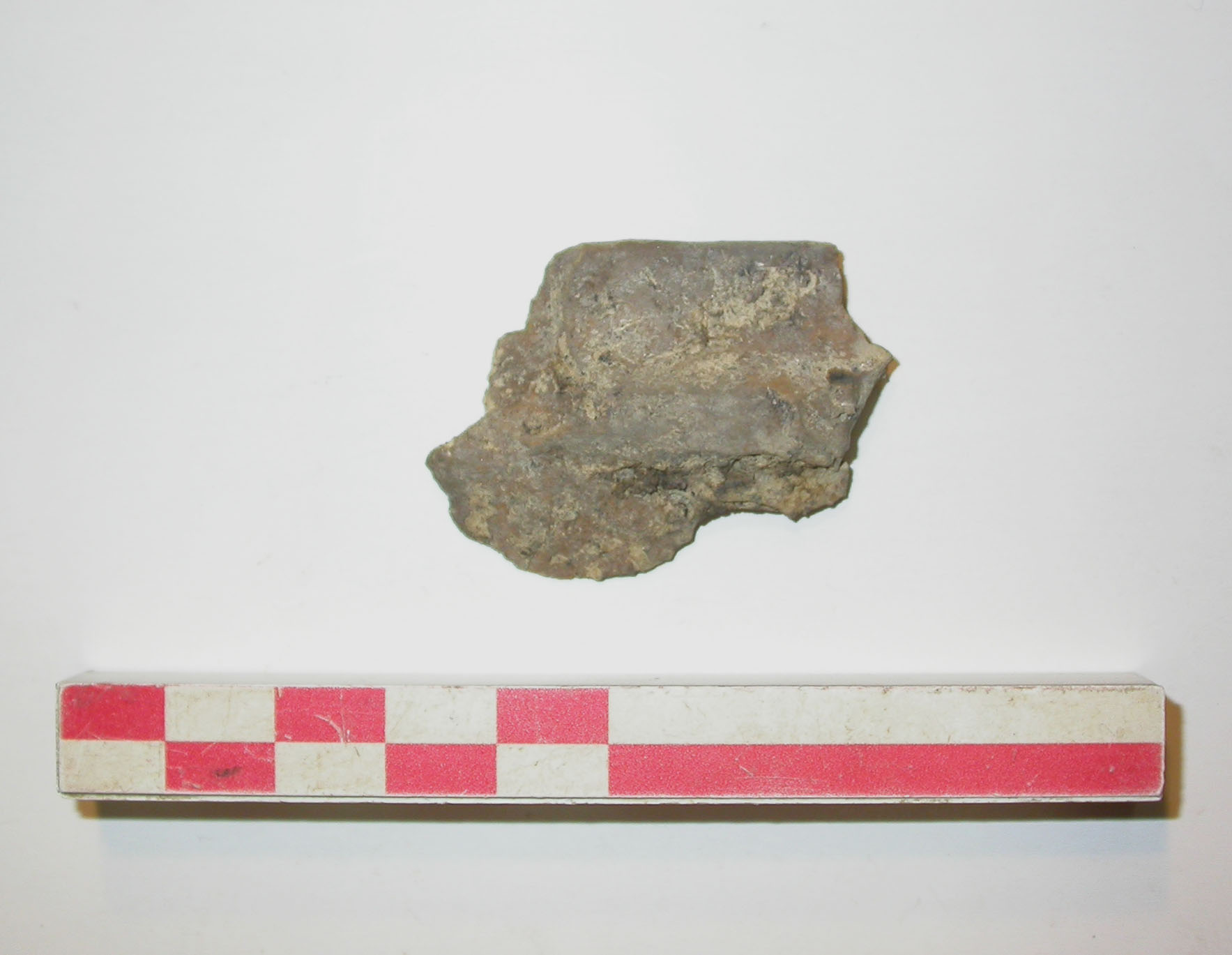 SINGOLO OGGETTO/ vaso, PERIODIZZAZIONI/ Protostoria/ Eta' del Ferro/ Prima eta' del Ferro