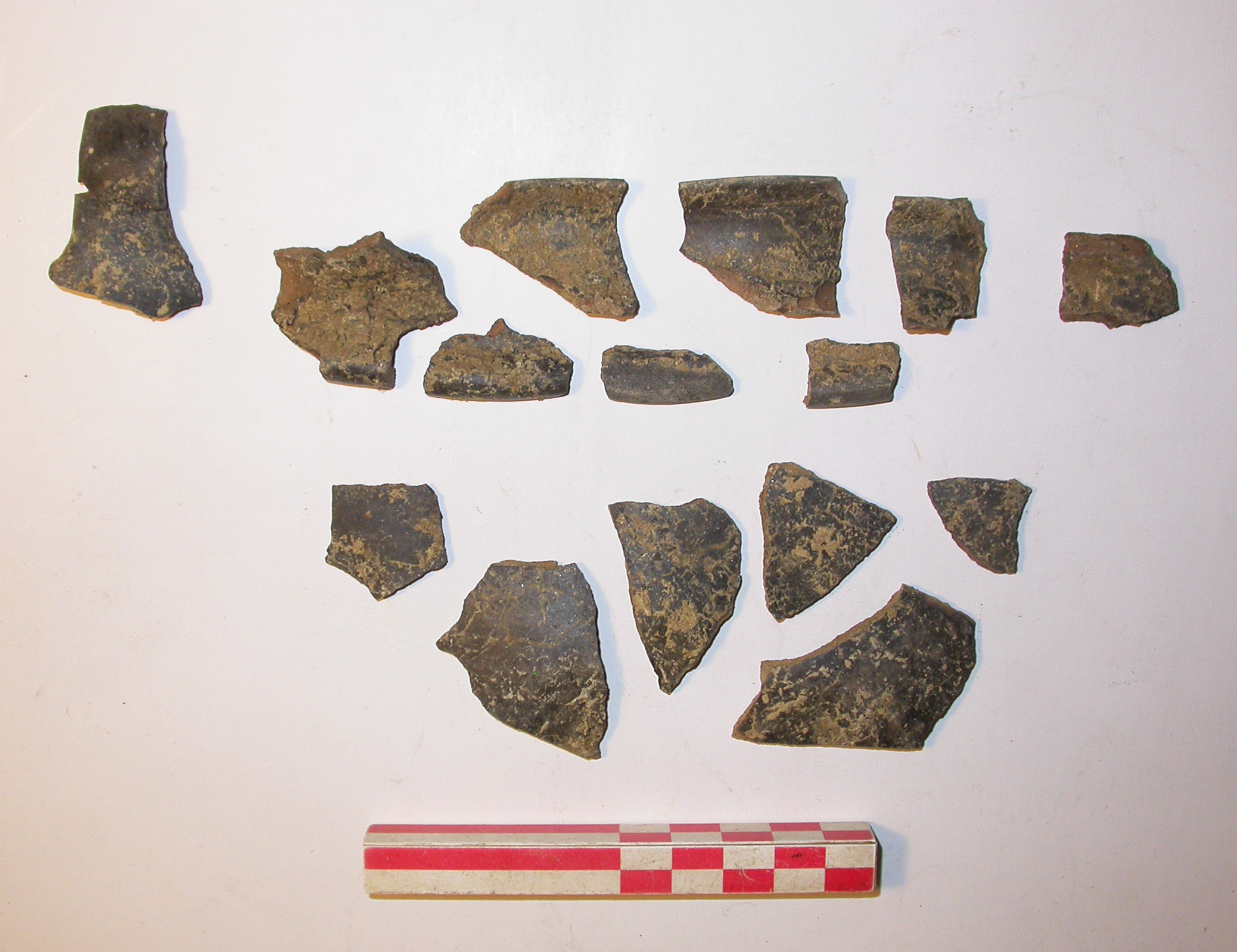 SINGOLO OGGETTO/ tazza, PERIODIZZAZIONI/ Protostoria/ Eta' del Ferro/ Prima eta' del Ferro