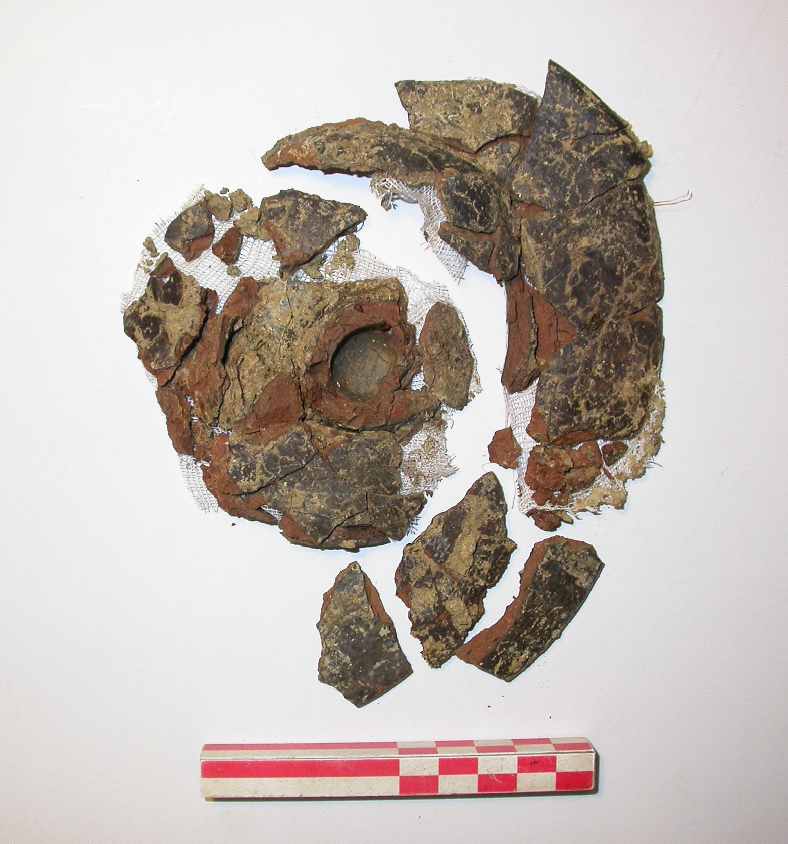 SINGOLO OGGETTO/ piatto, PERIODIZZAZIONI/ Protostoria/ Eta' del Ferro/ Prima eta' del Ferro