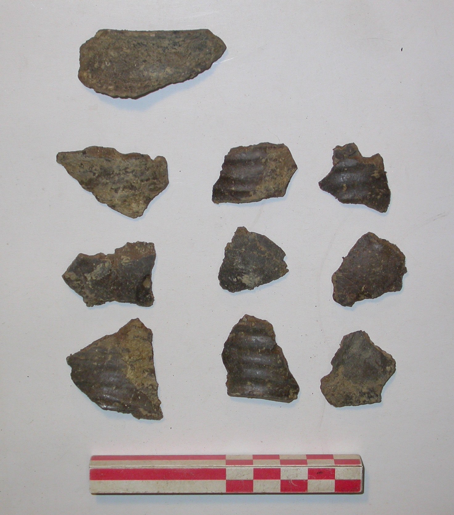 SINGOLO OGGETTO/ boccale, PERIODIZZAZIONI/ Protostoria/ Eta' del Ferro/ Prima eta' del Ferro