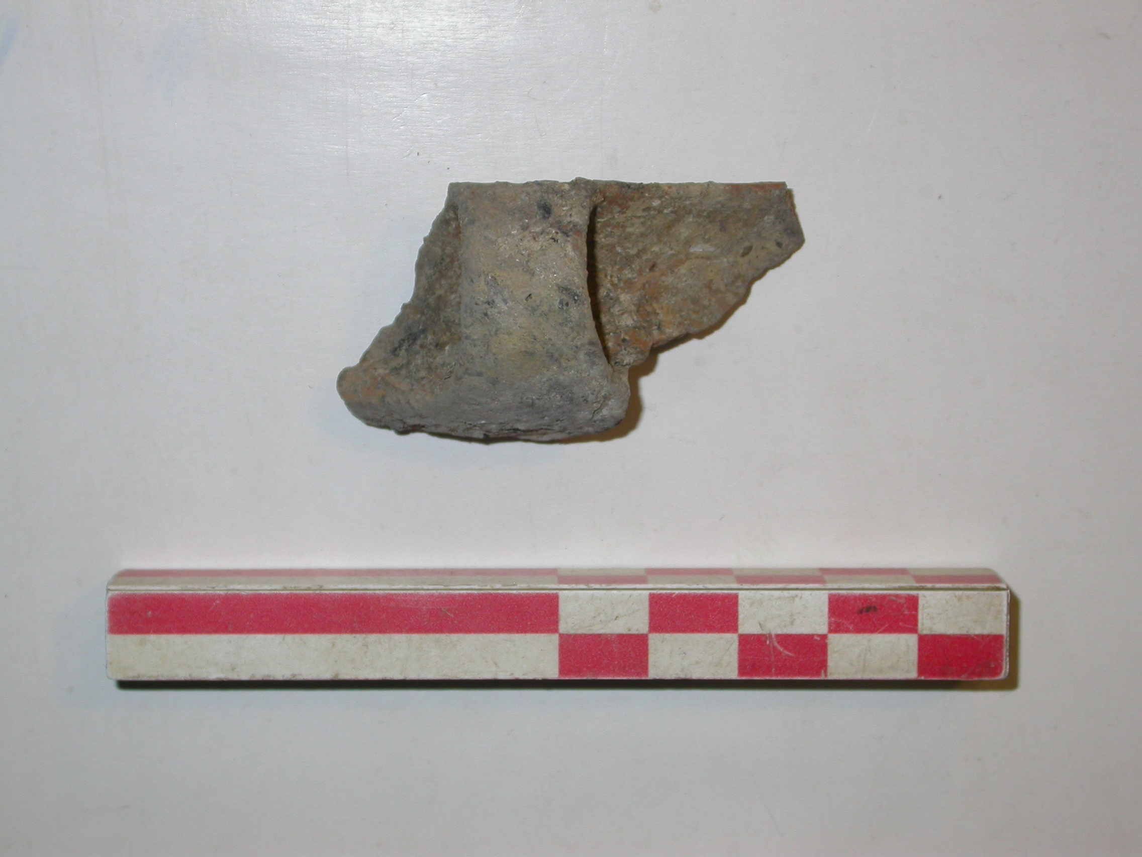 SINGOLO OGGETTO/ tazza, PERIODIZZAZIONI/ Protostoria/ Eta' del Ferro/ Prima eta' del Ferro