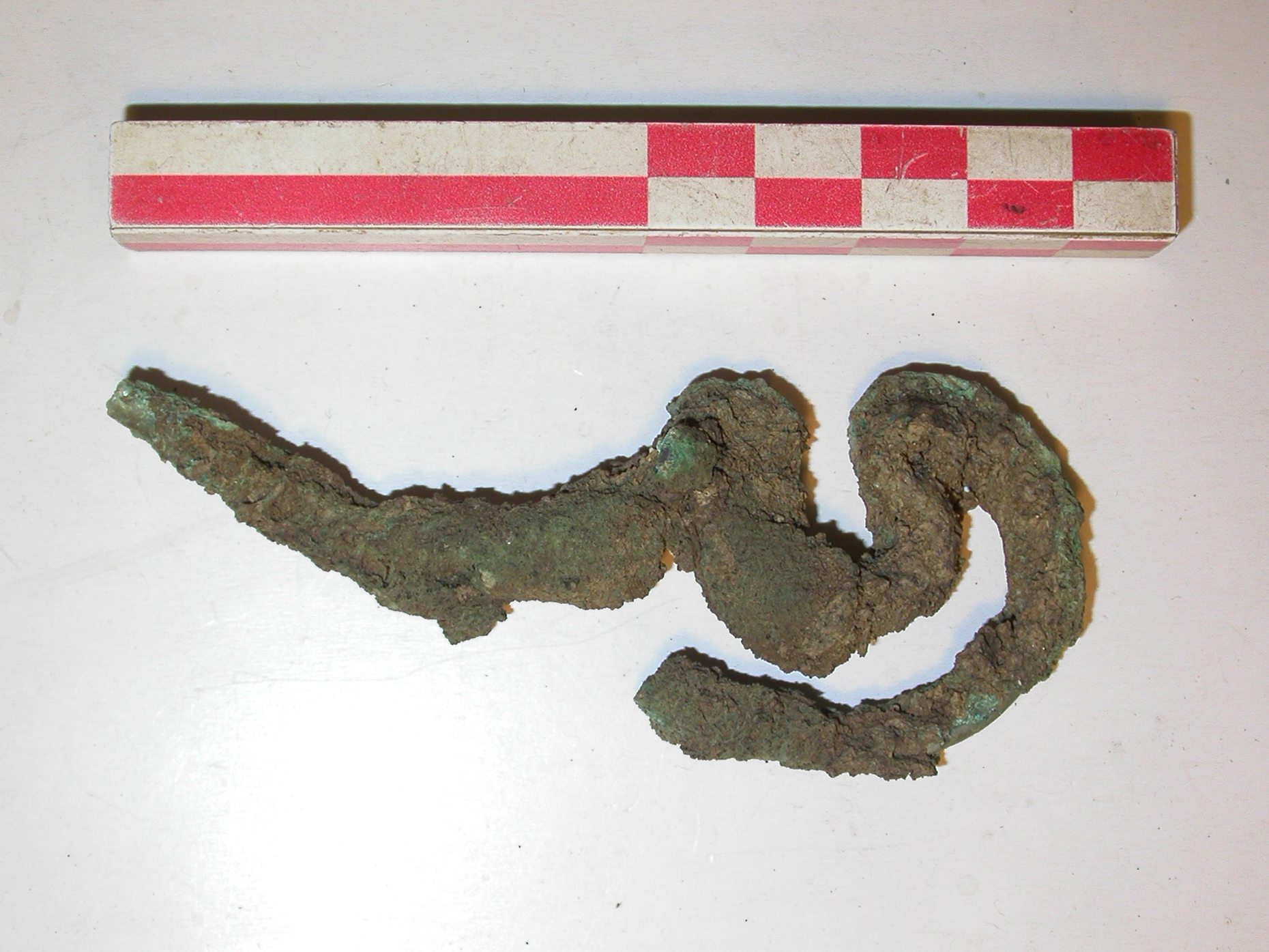 SINGOLO OGGETTO/ fibula, PERIODIZZAZIONI/ Protostoria/ Eta' del Ferro/ Prima eta' del Ferro