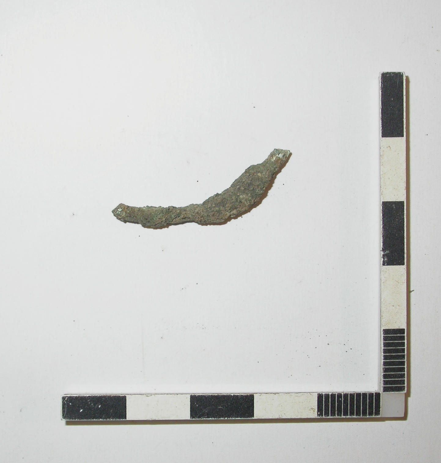 SINGOLO OGGETTO/ verga, PERIODIZZAZIONI/ Protostoria/ Eta' del Ferro/ Prima eta' del Ferro