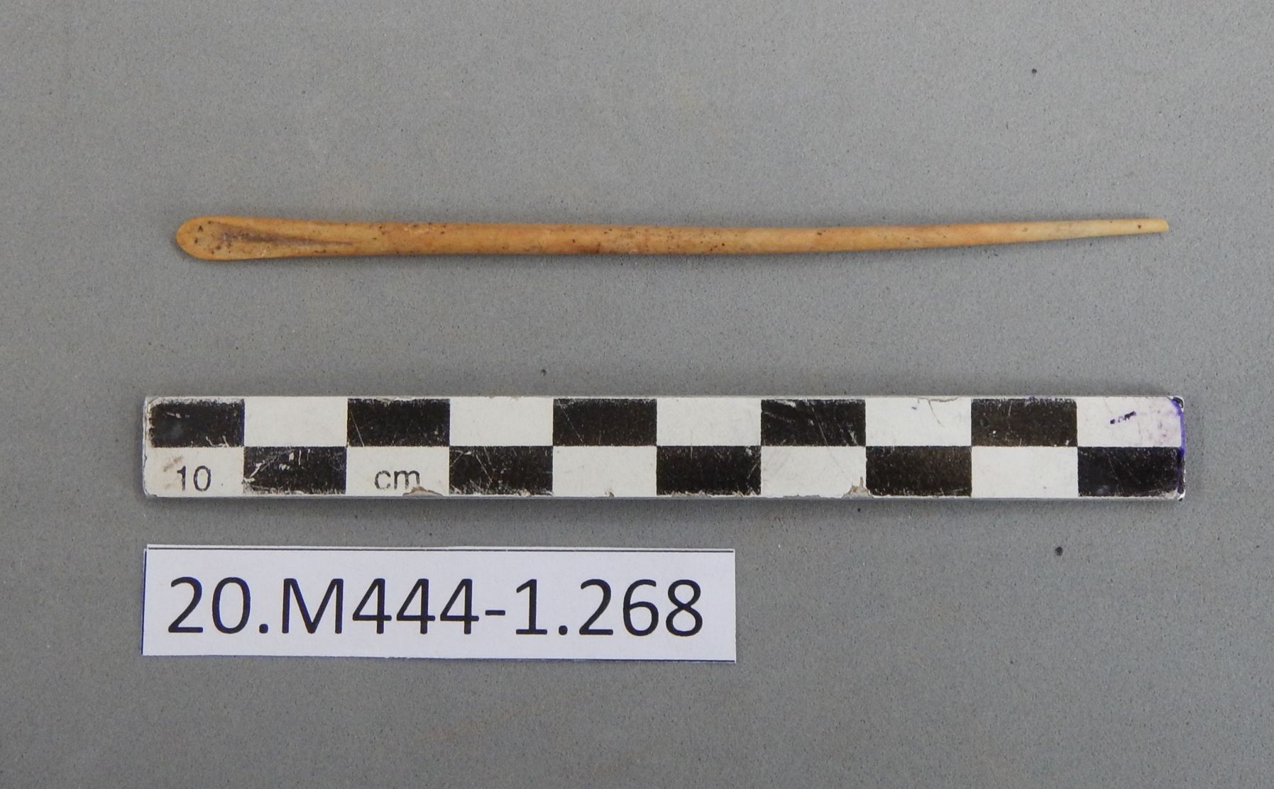 SINGOLO OGGETTO/ nettaorecchie, SECOLI/ I