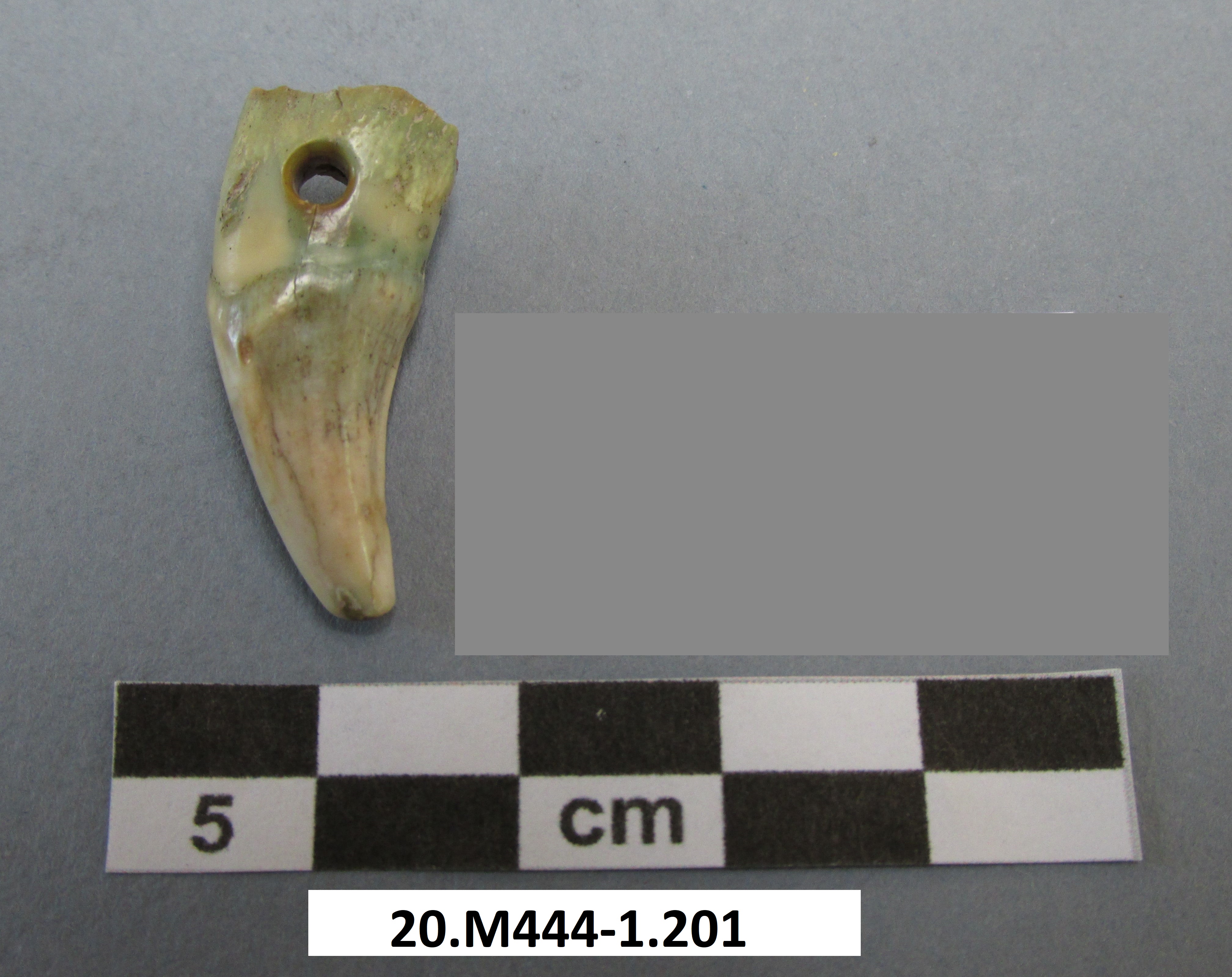 SINGOLO OGGETTO/ pendente, SECOLI/ I