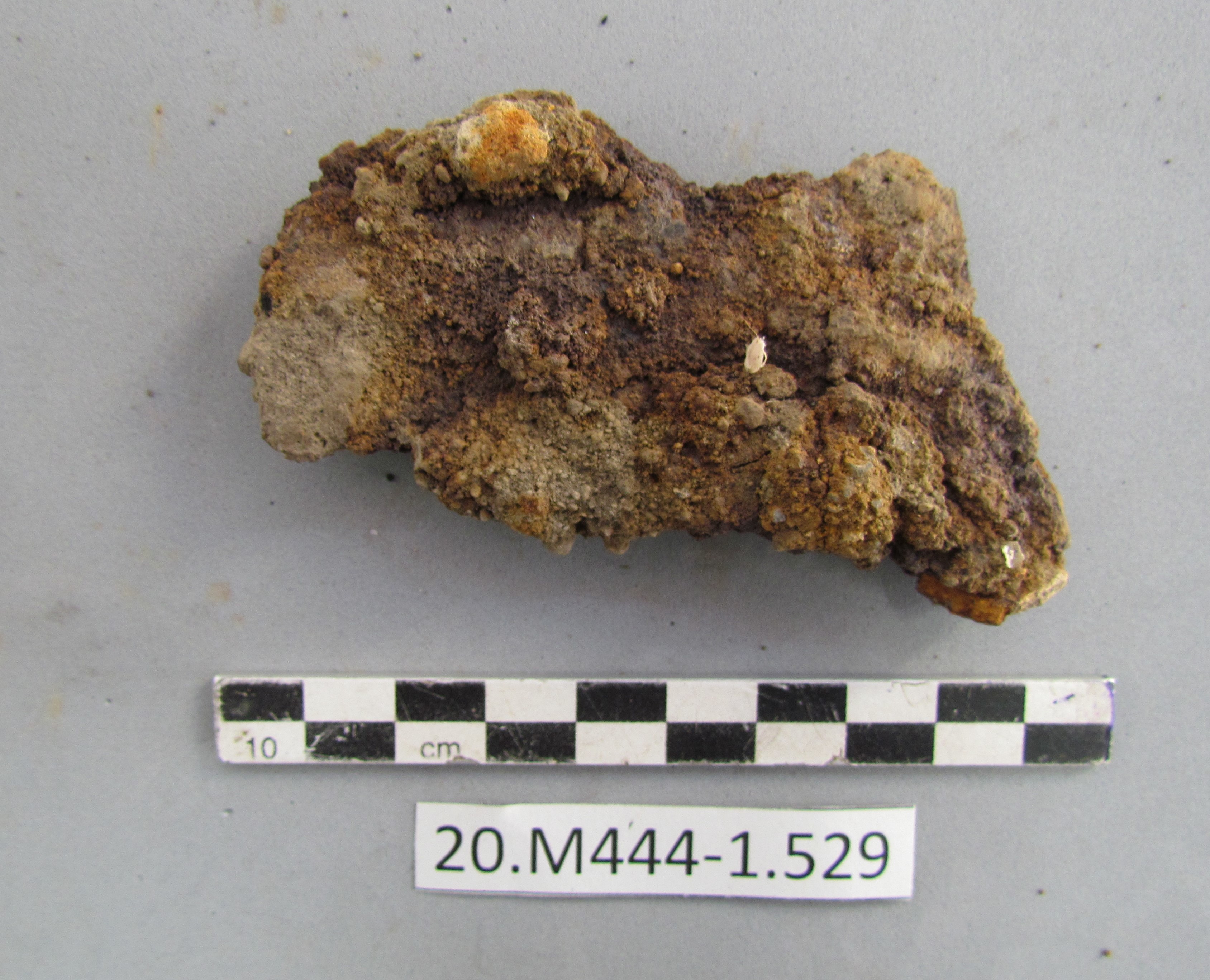 SINGOLO OGGETTO/ lama, SECOLI/ I