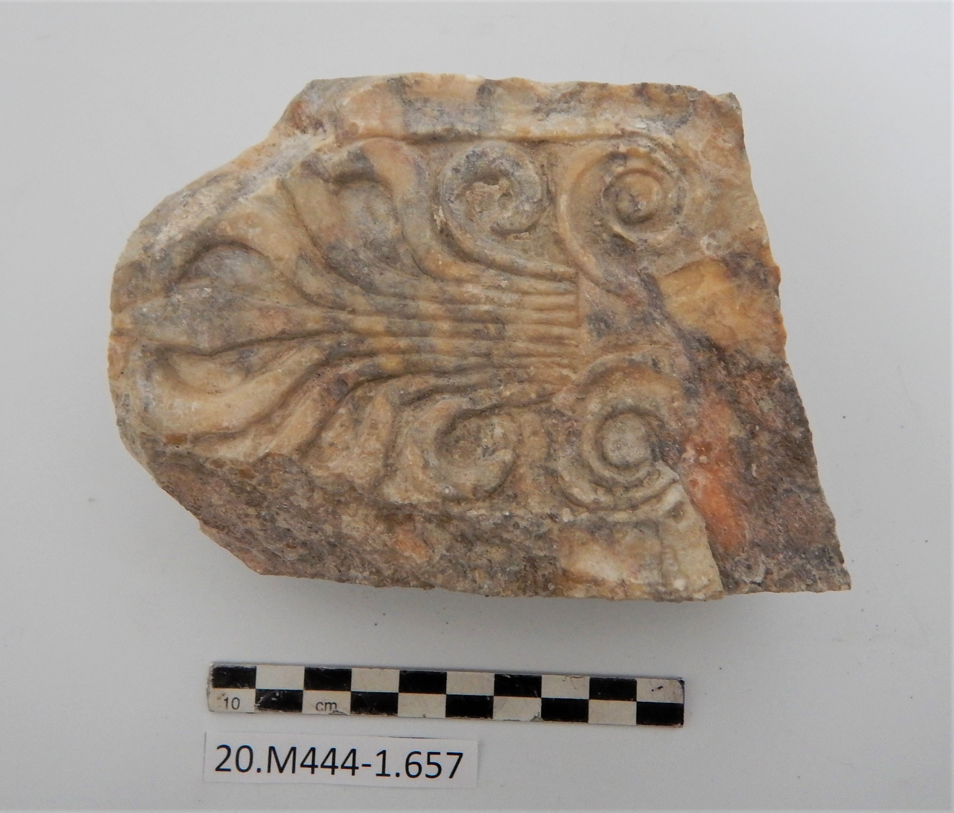 SINGOLO OGGETTO/ elemento, SECOLI/ I