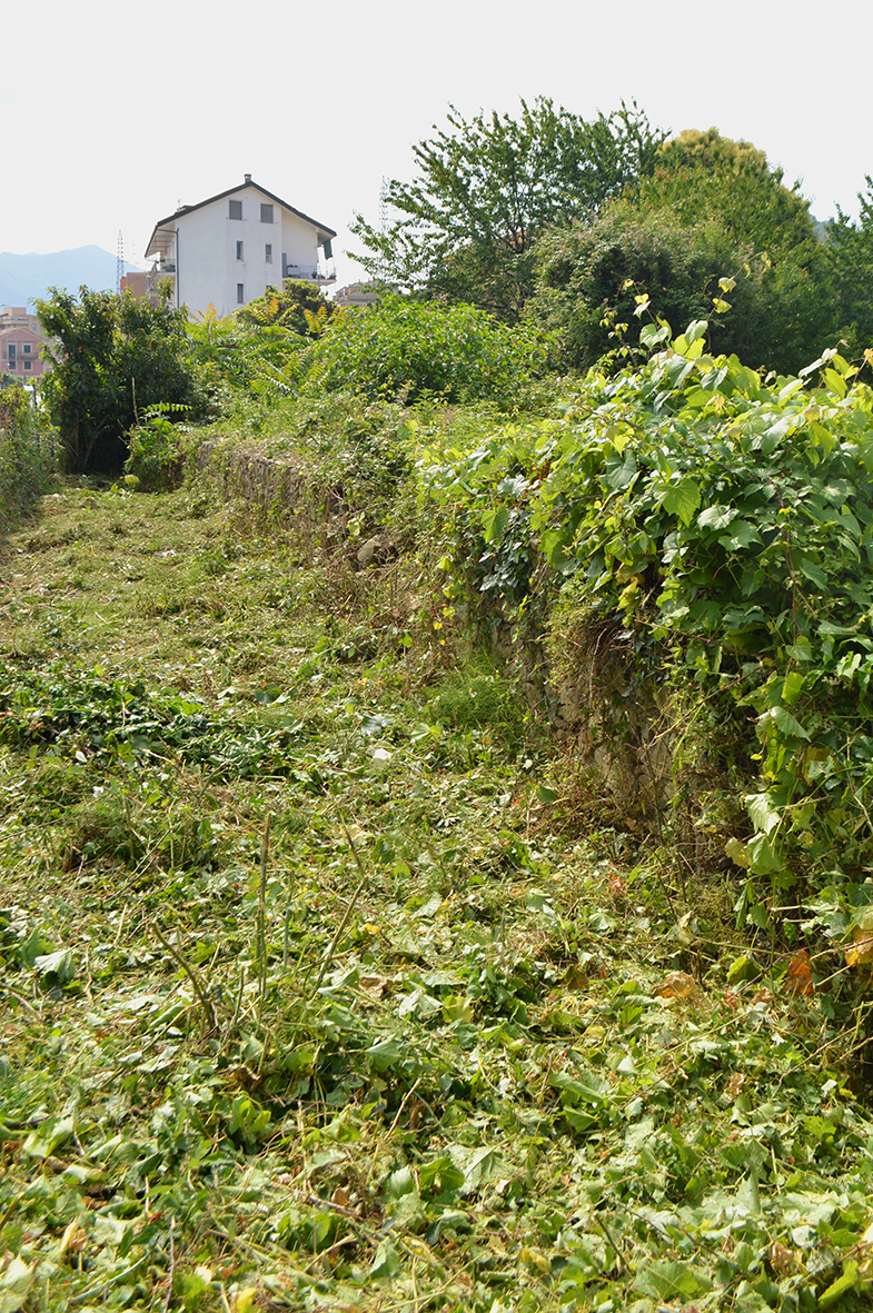 Via Antica Romana Occidentale (infrastruttura viaria, strada) - Sestri Levante (GE)  (SECOLI/ XIX)