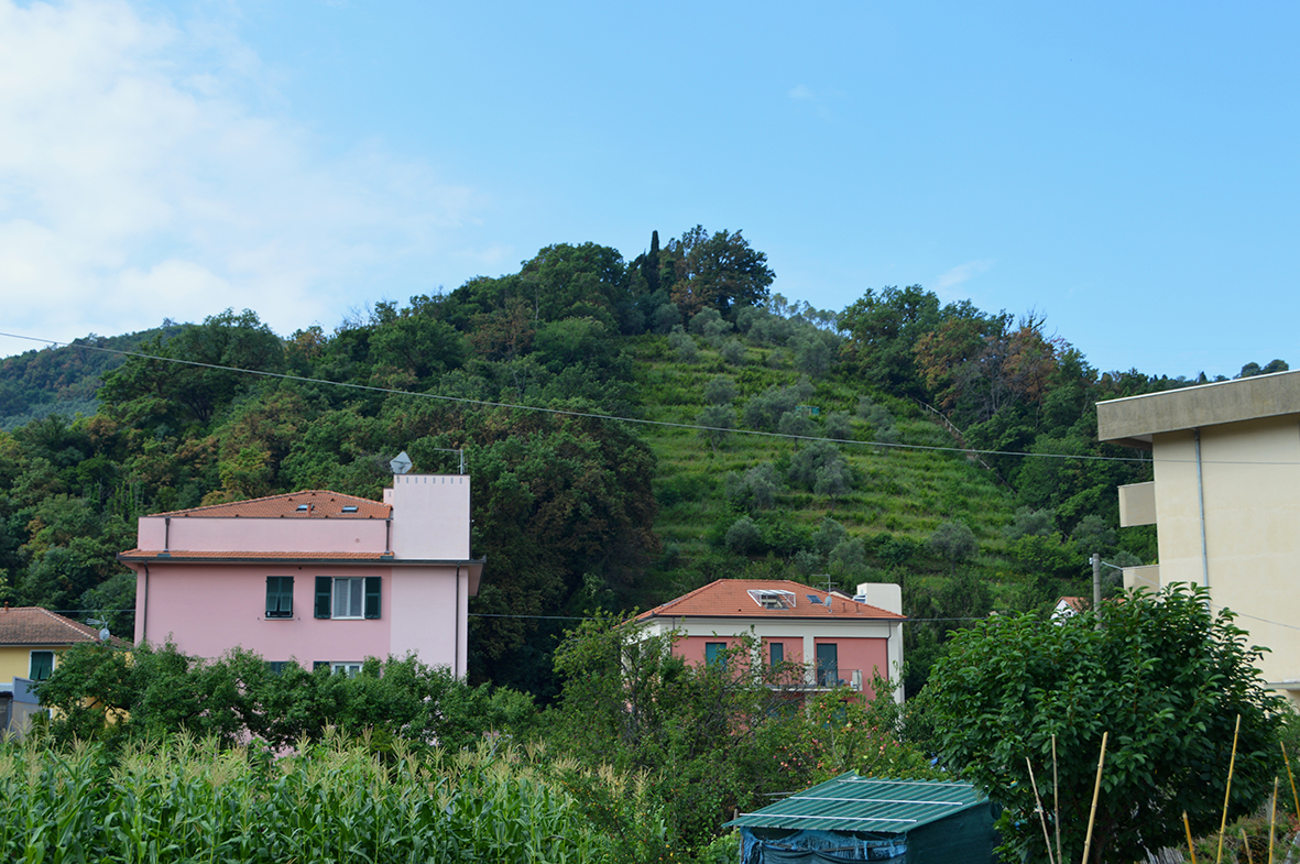 infrastruttura idrica, canale - Sestri Levante (GE)  (PERIODIZZAZIONI/ STORIA/ Età medievale/ Basso Medioevo)
