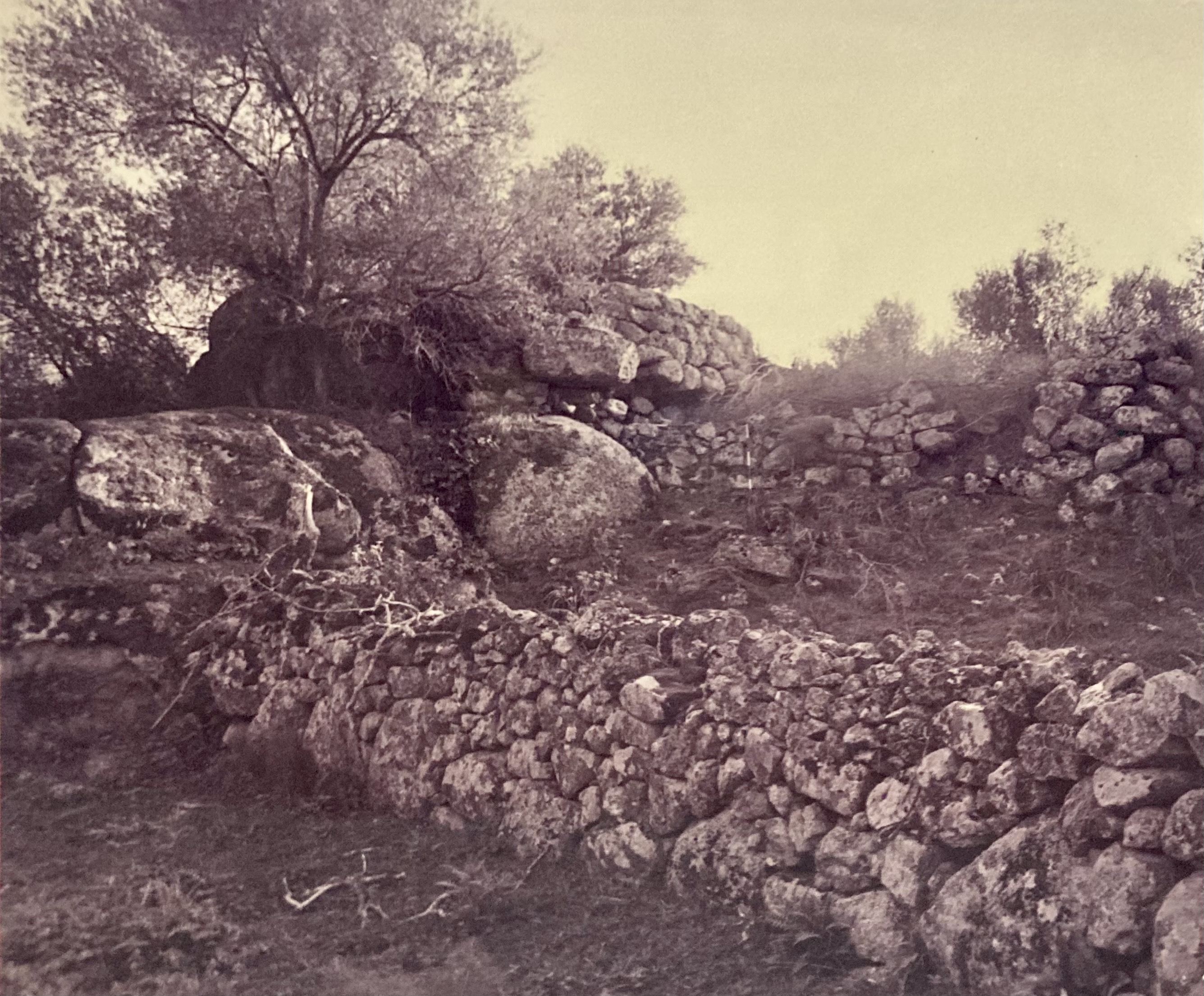 Nuraghe Ena 'e Sedina (nuraghe) - Benetutti (SS)  (Bronzo Medio-Bronzo Recente)