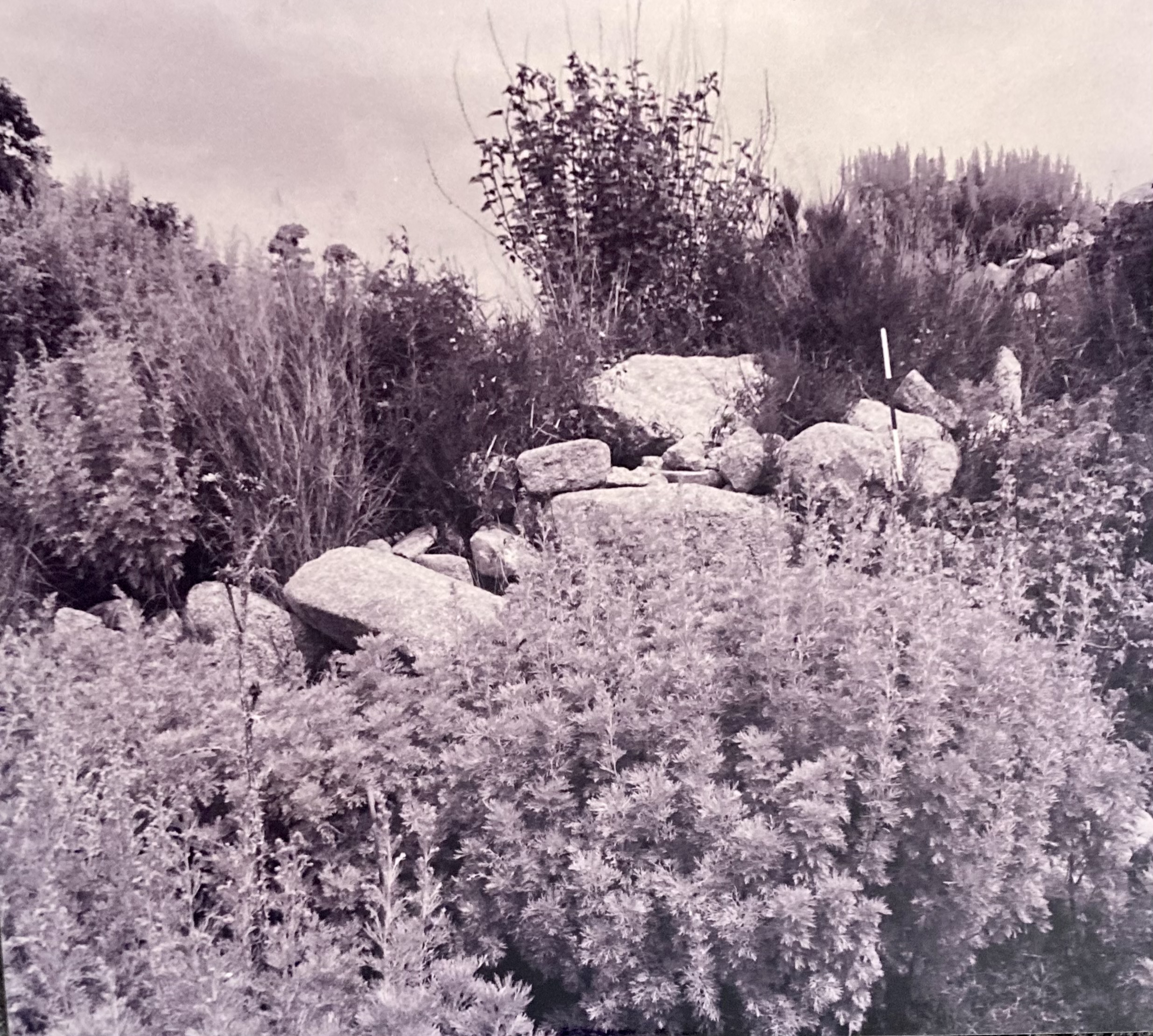 Tomba di giganti Sisine (tomba) - Benetutti (SS)  (Bronzo Medio-Bronzo Recente)